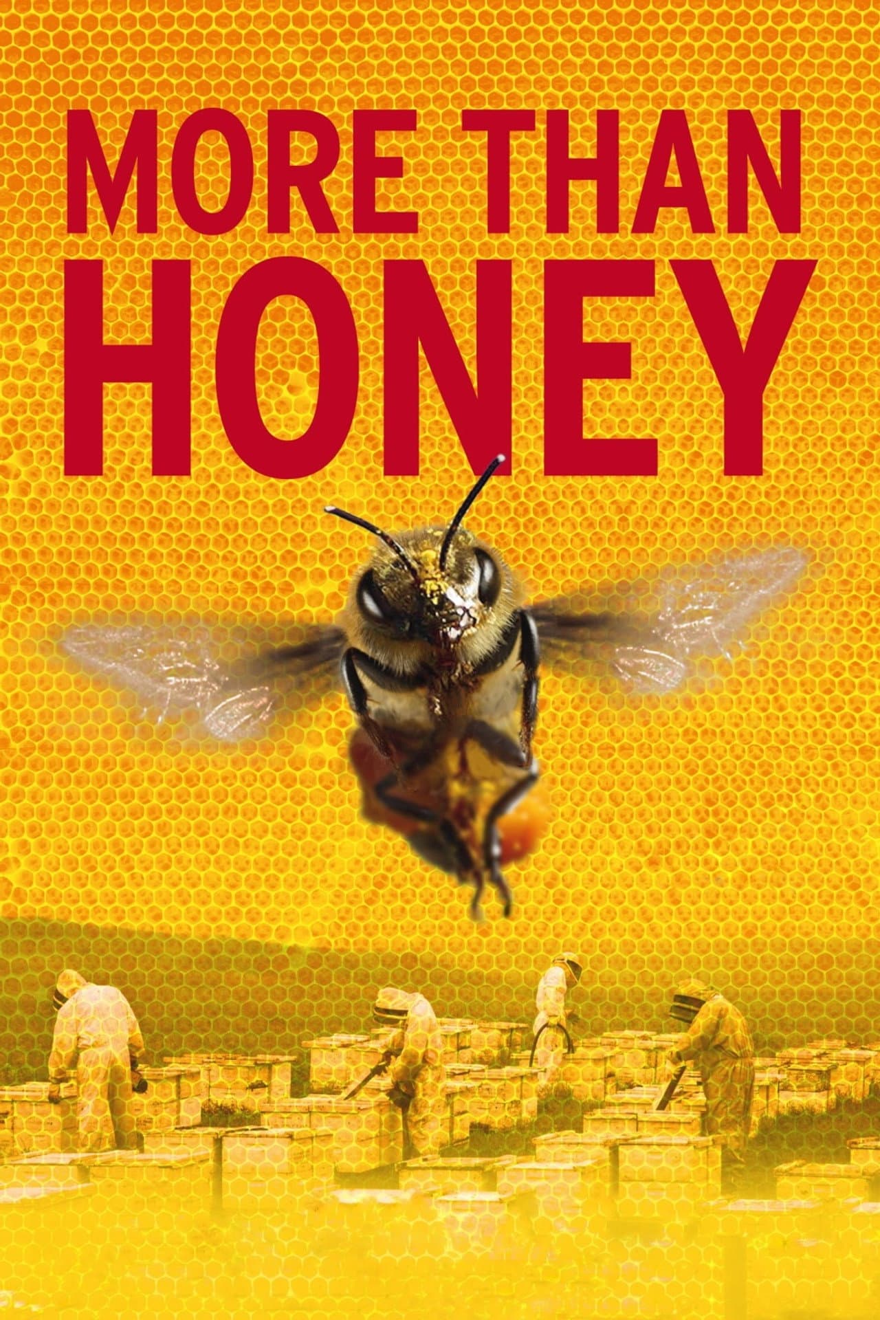 More Than Honey preview 2