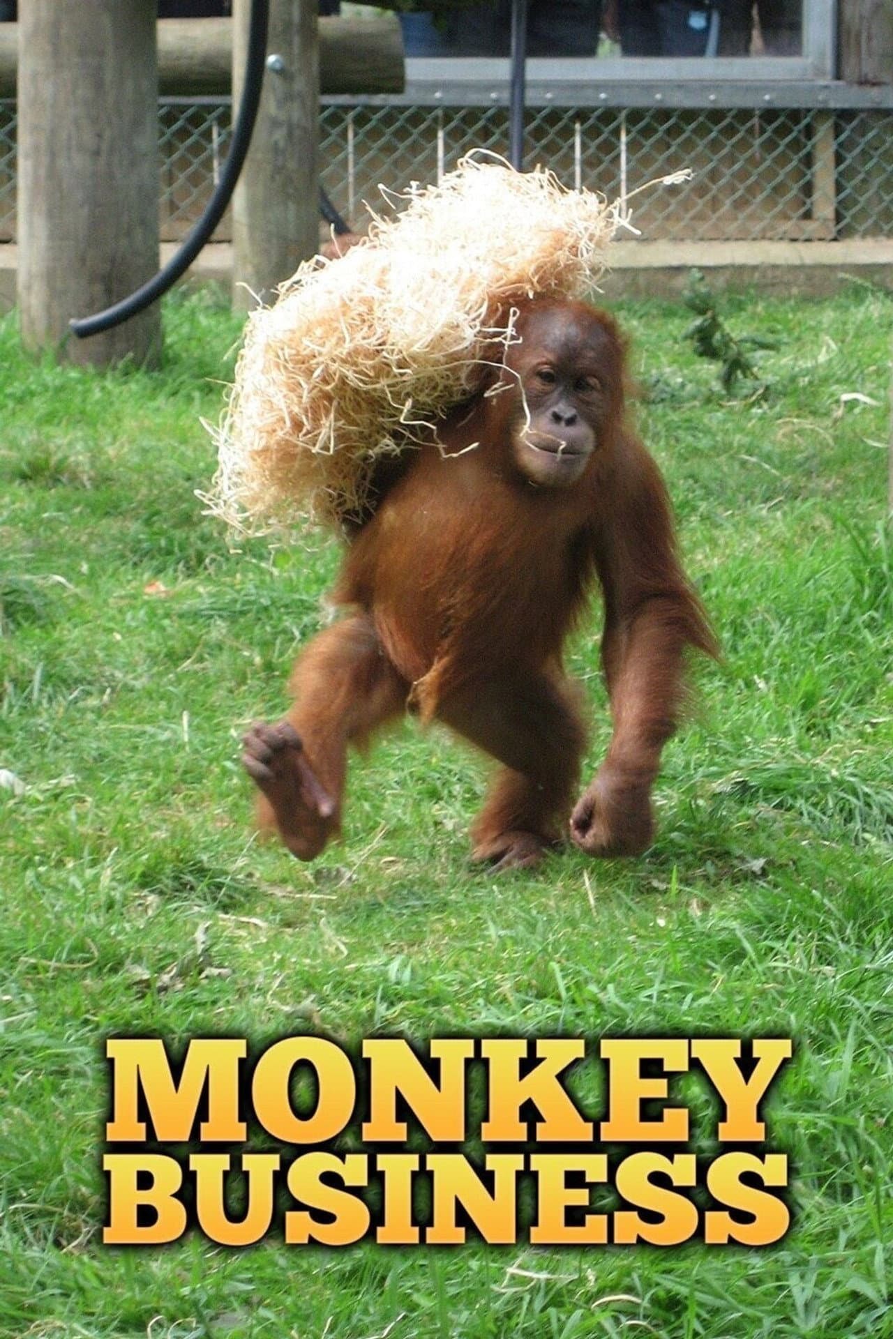 Monkey Business preview 1