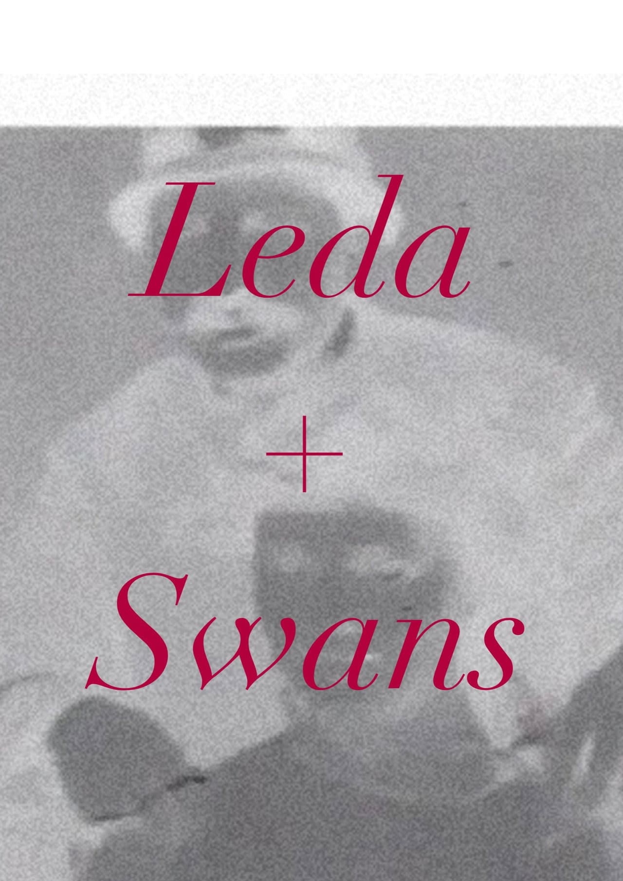 Leda + Swans preview 2
