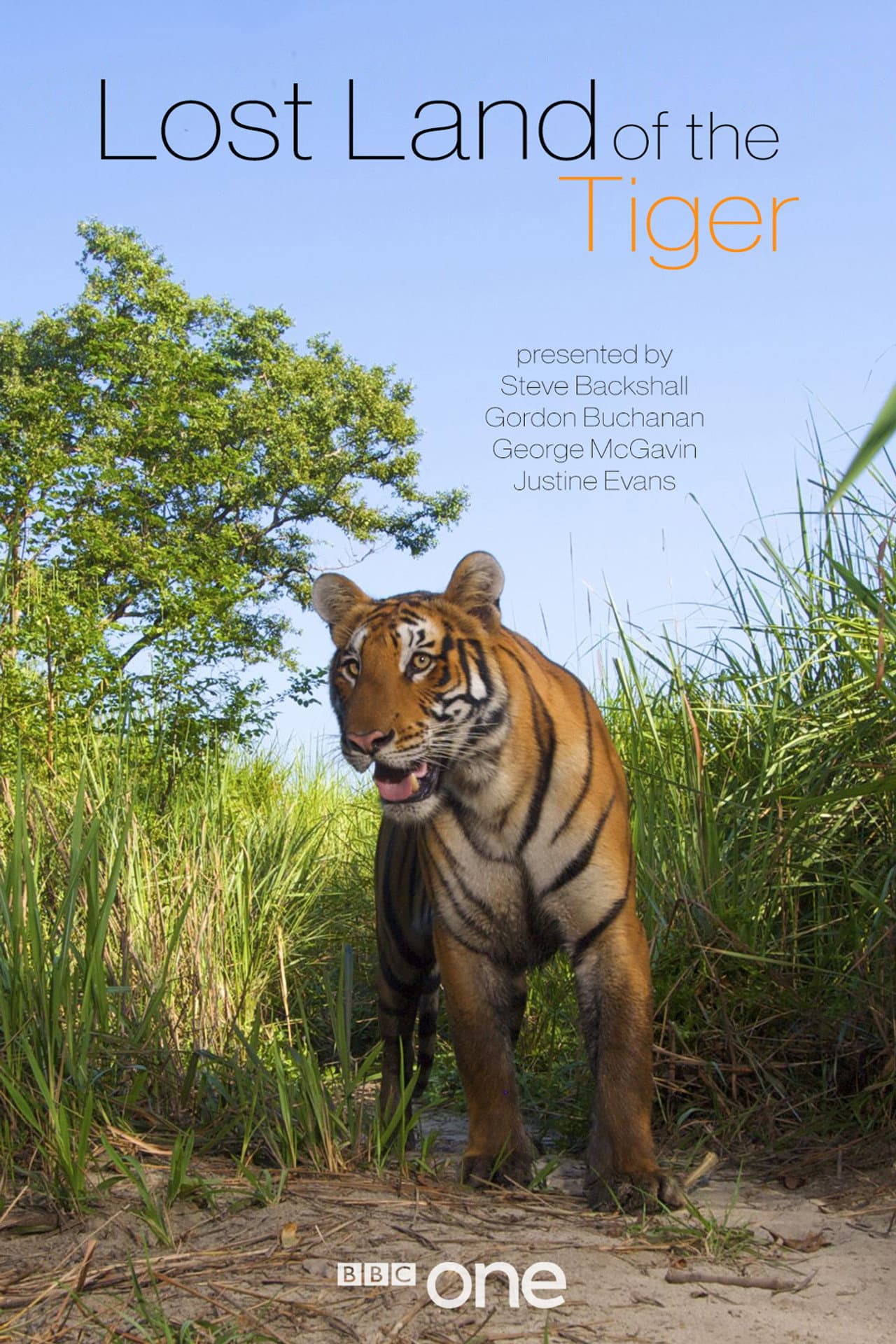 Lost Land of the Tiger preview 2