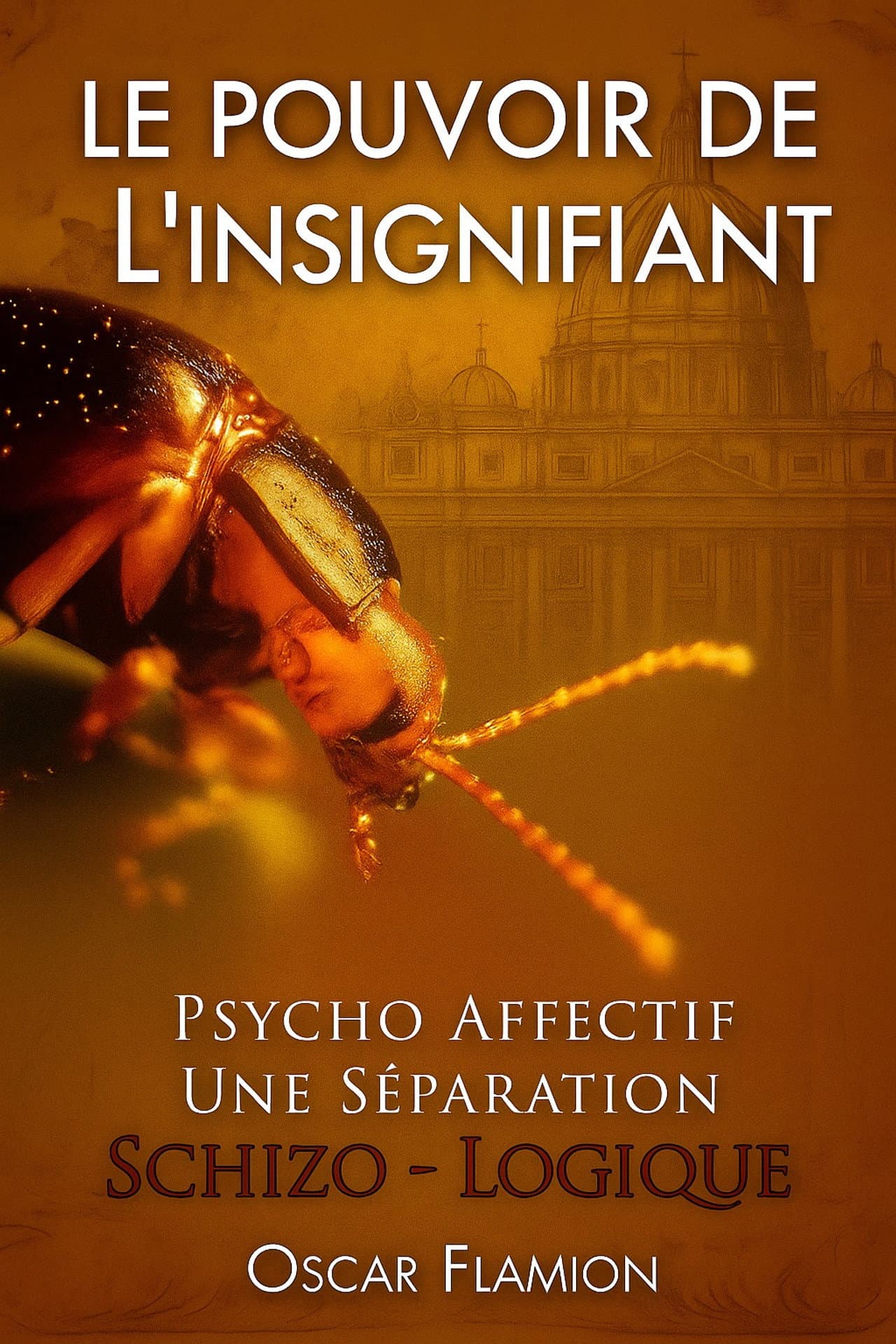 Le Pouvoir de l'Insignifiant - Psycho affectif : une séparation Schizo Logique preview 1