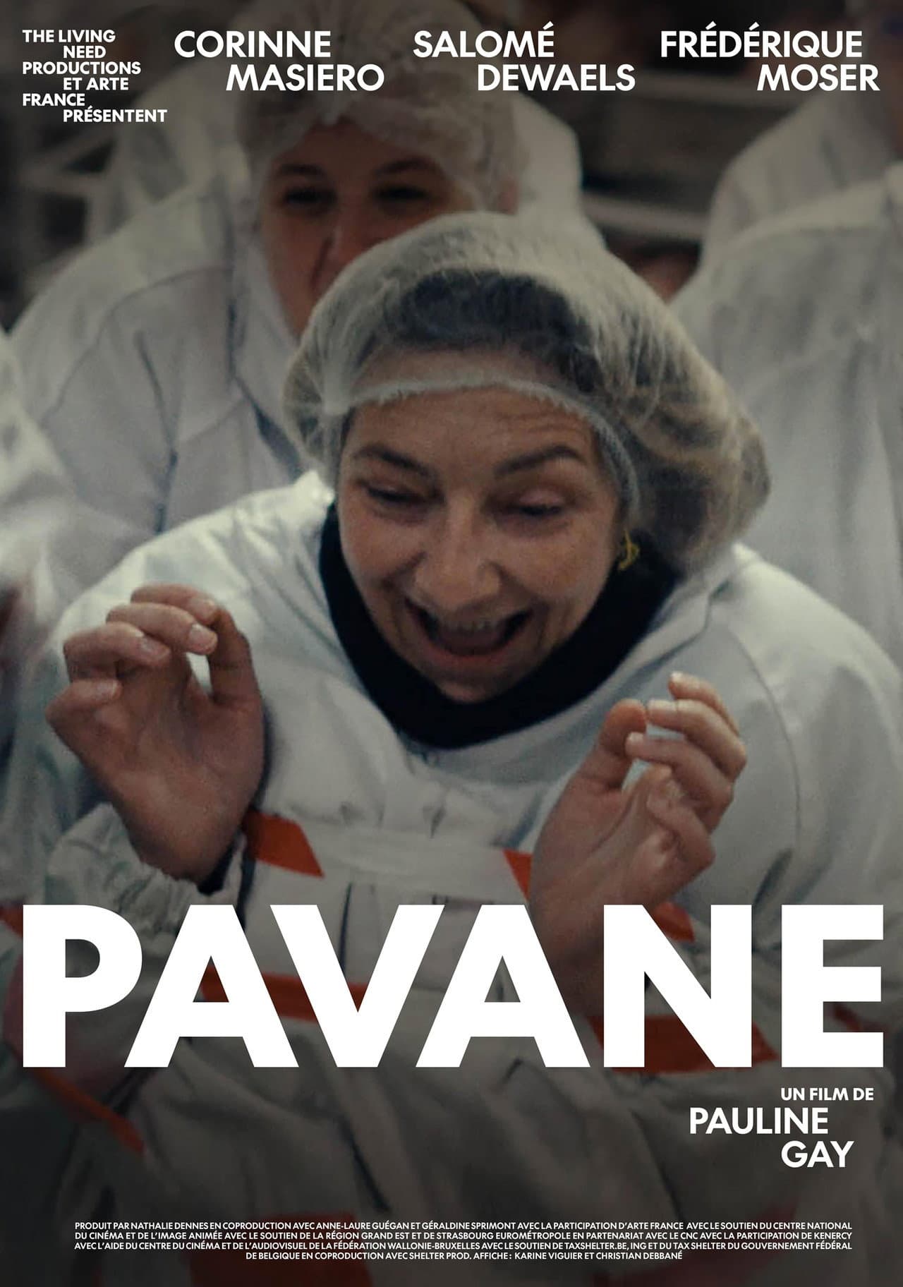 Pavane preview 2