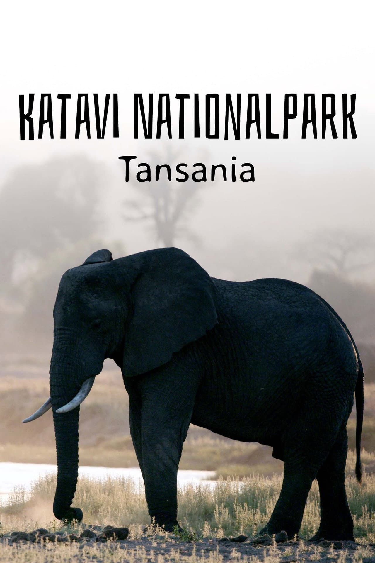Katavi Nationalpark Tansania preview 2