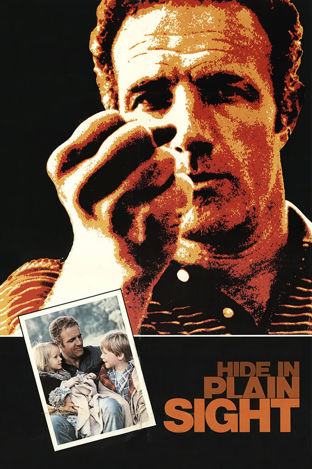 Hide in Plain Sight preview 2