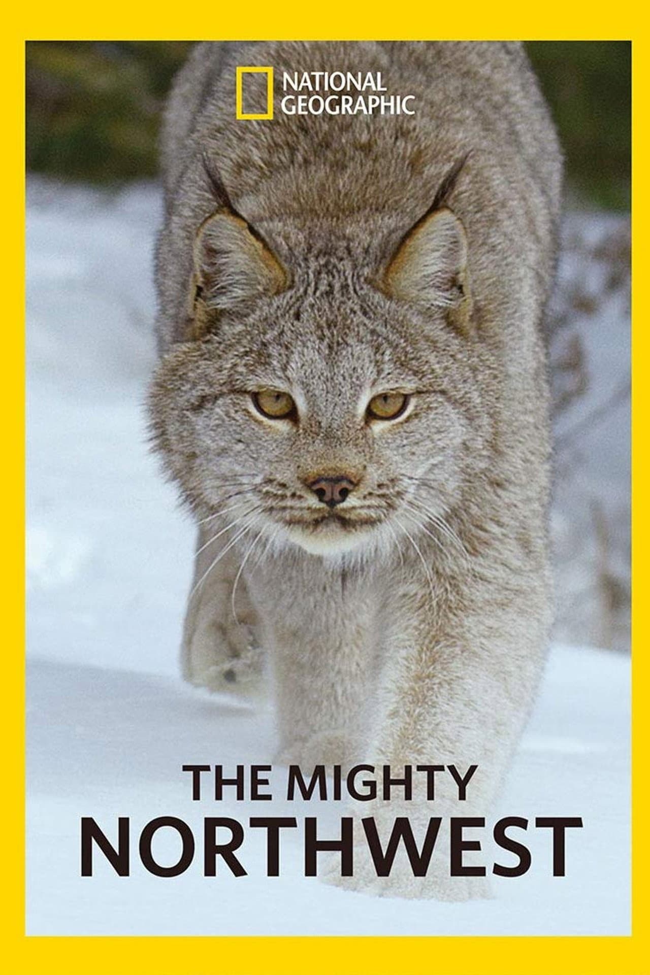 The Mighty Northwest preview 2