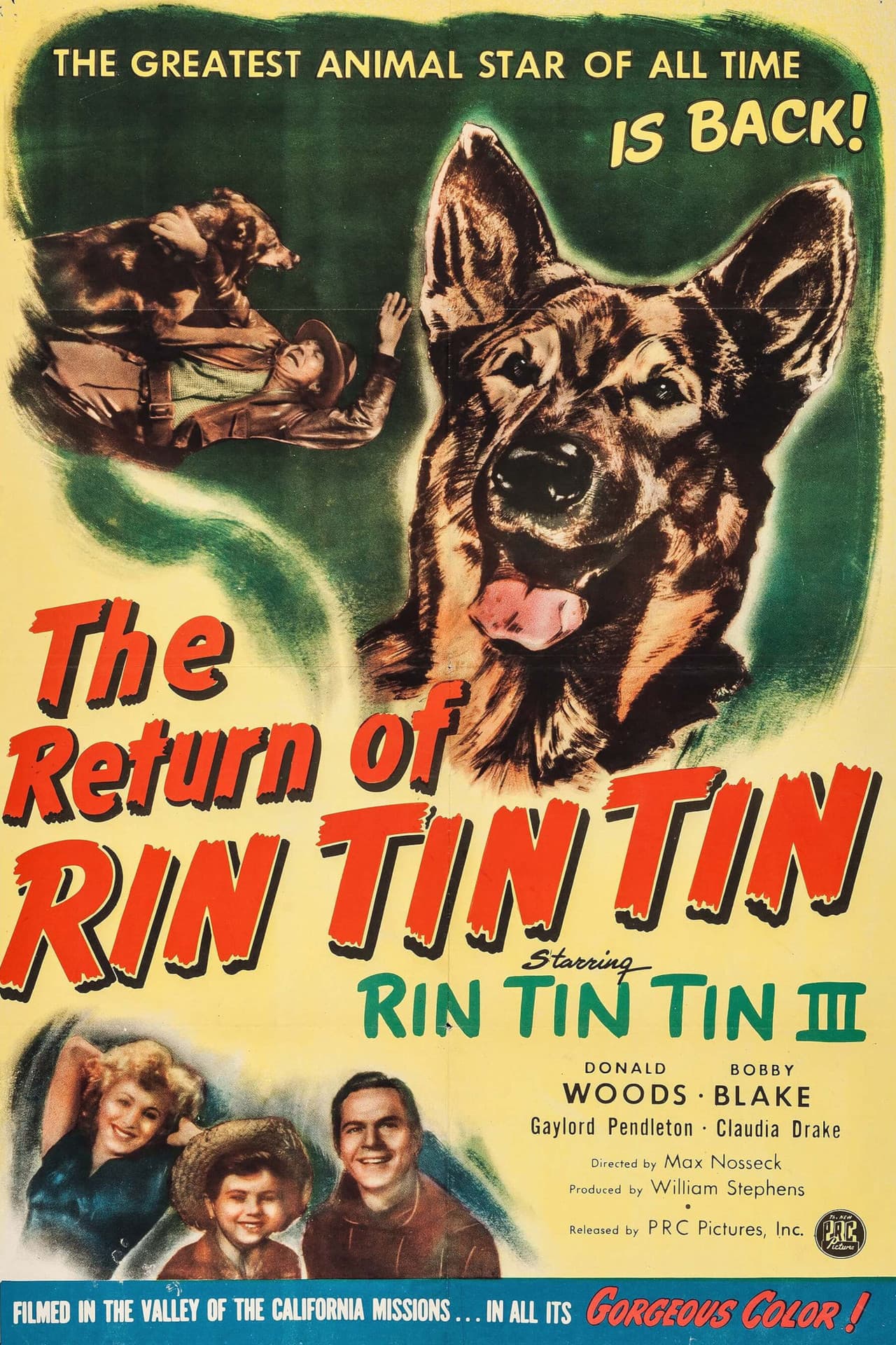 The Return of Rin Tin Tin preview 2
