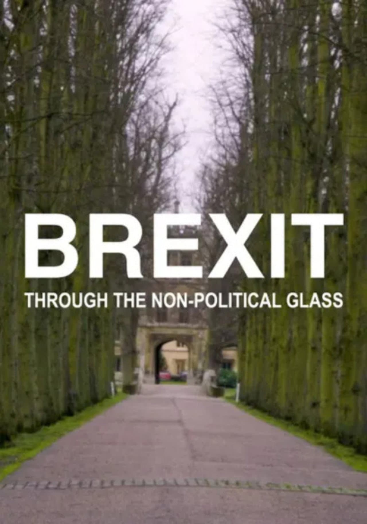 Brexit Through the Non-political Glass preview 2
