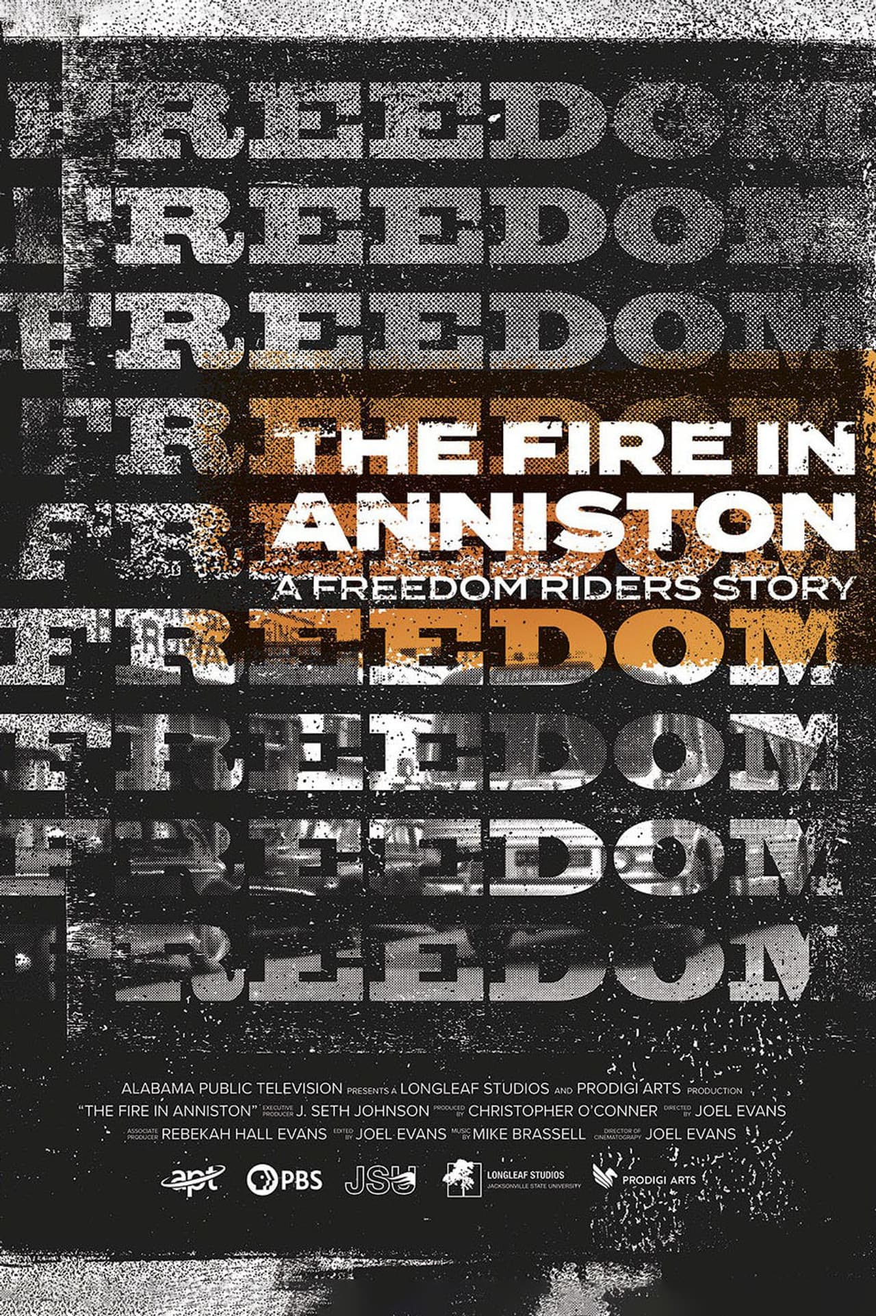 The Fire in Anniston: A Freedom Riders Story preview 2