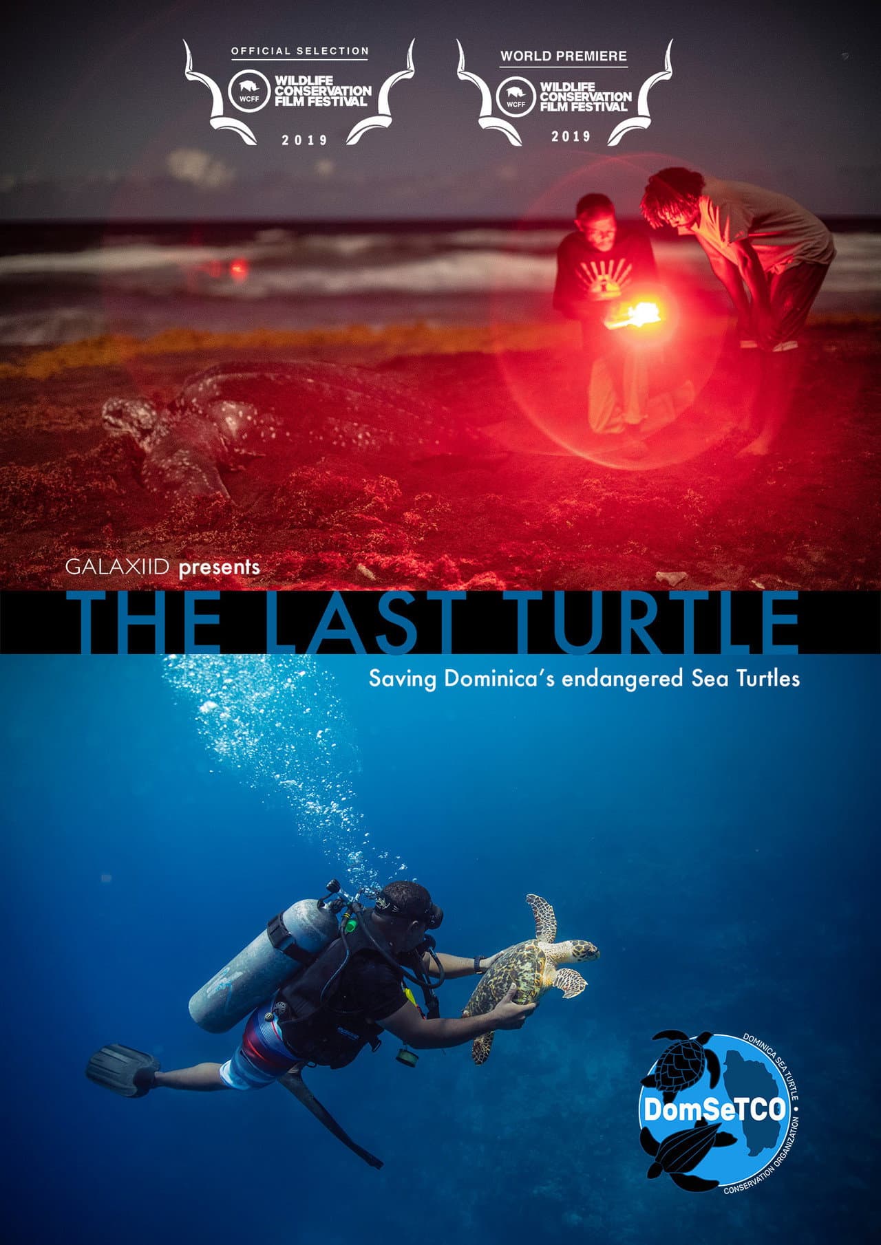 The Last Turtle preview 1