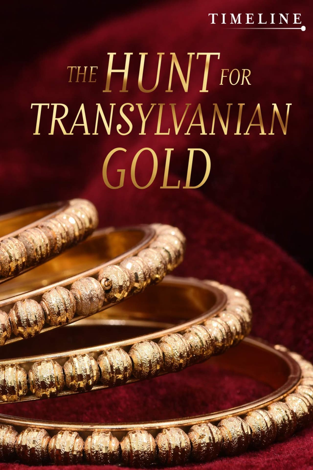 The Hunt for Transylvanian Gold preview 2