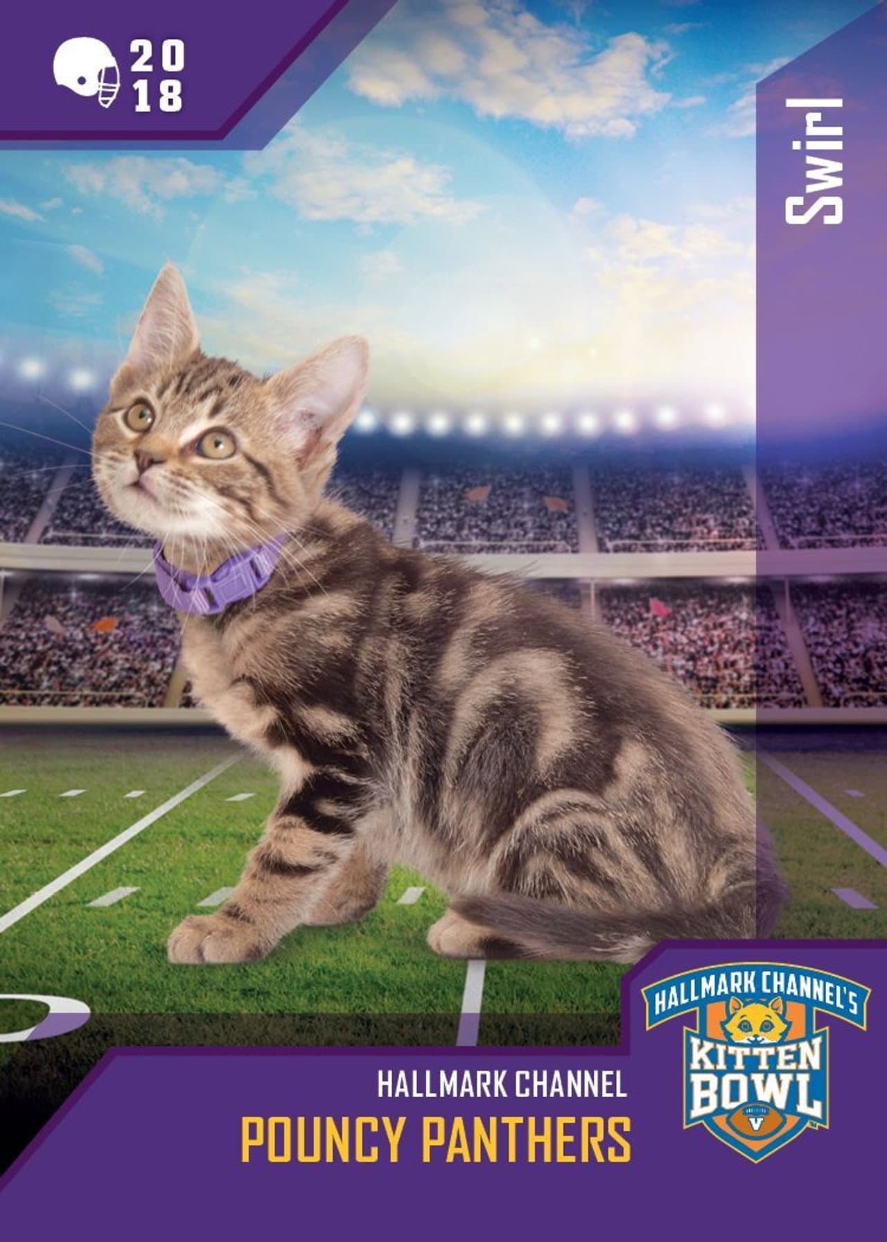 Kitten Bowl VIII Special preview 2