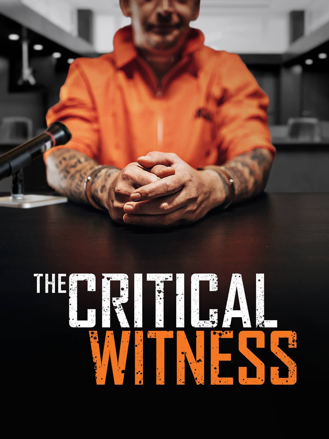 The Critical Witness preview 2