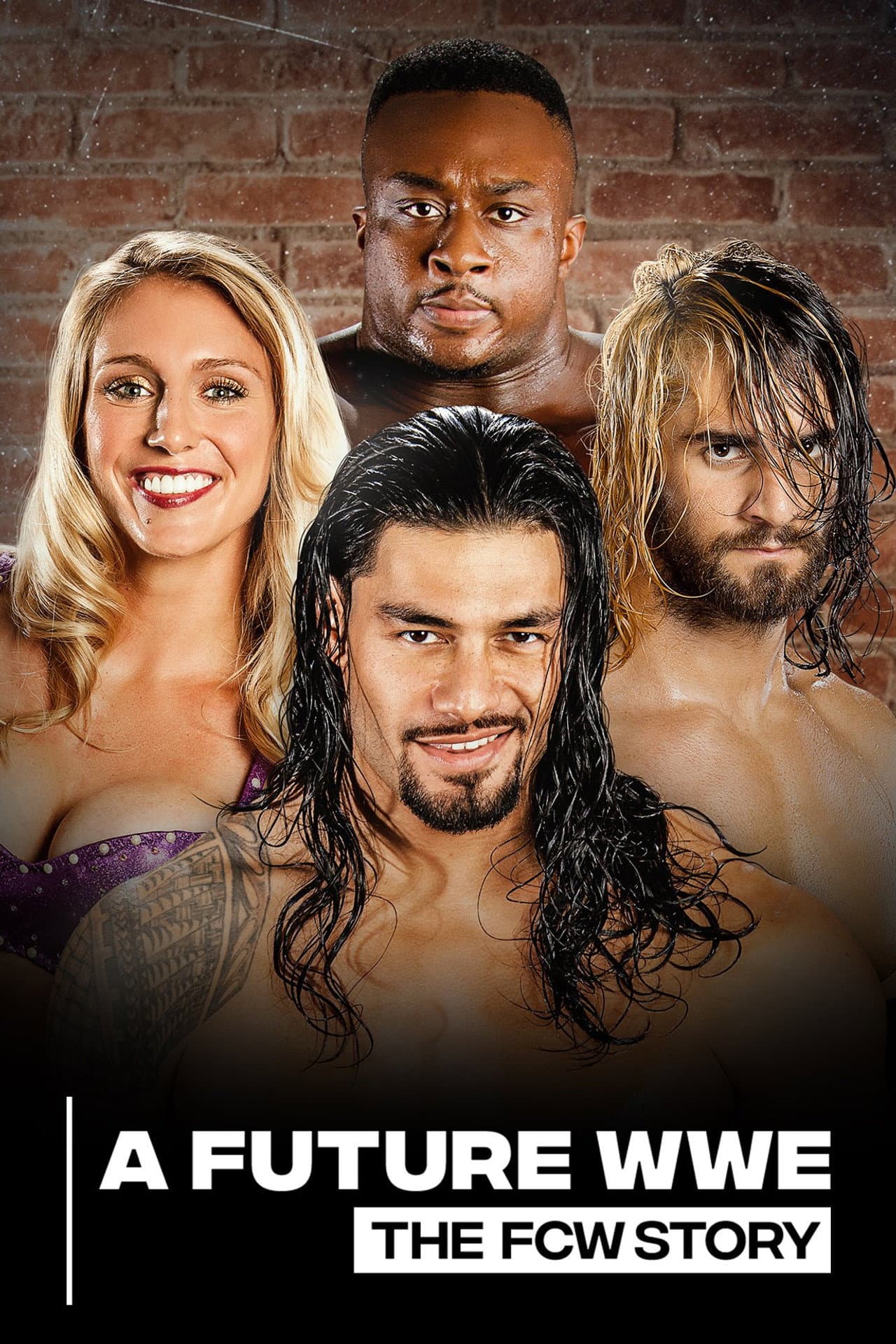 A Future WWE: The FCW Story preview 1