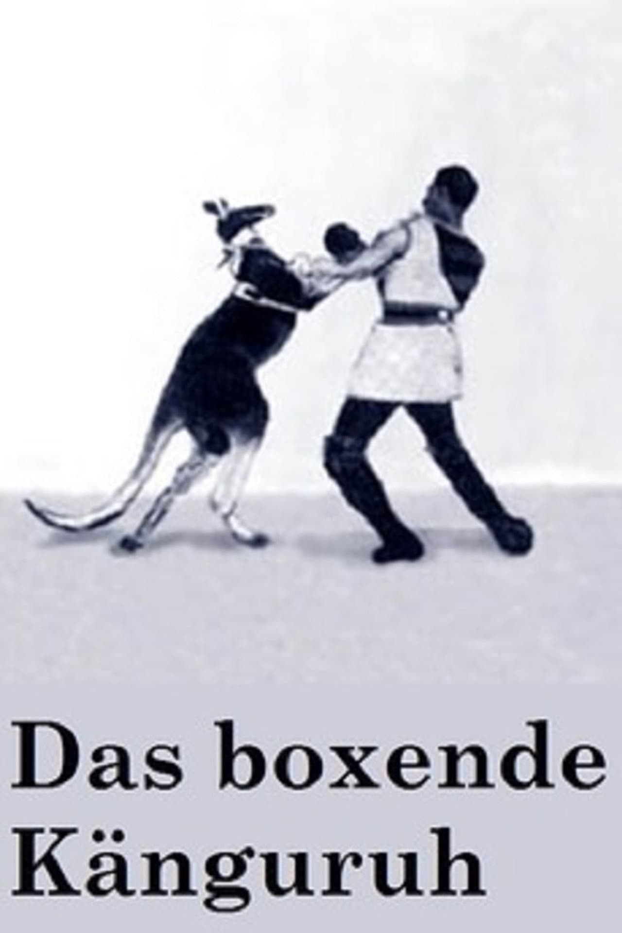 The Boxing Kangaroo preview 2