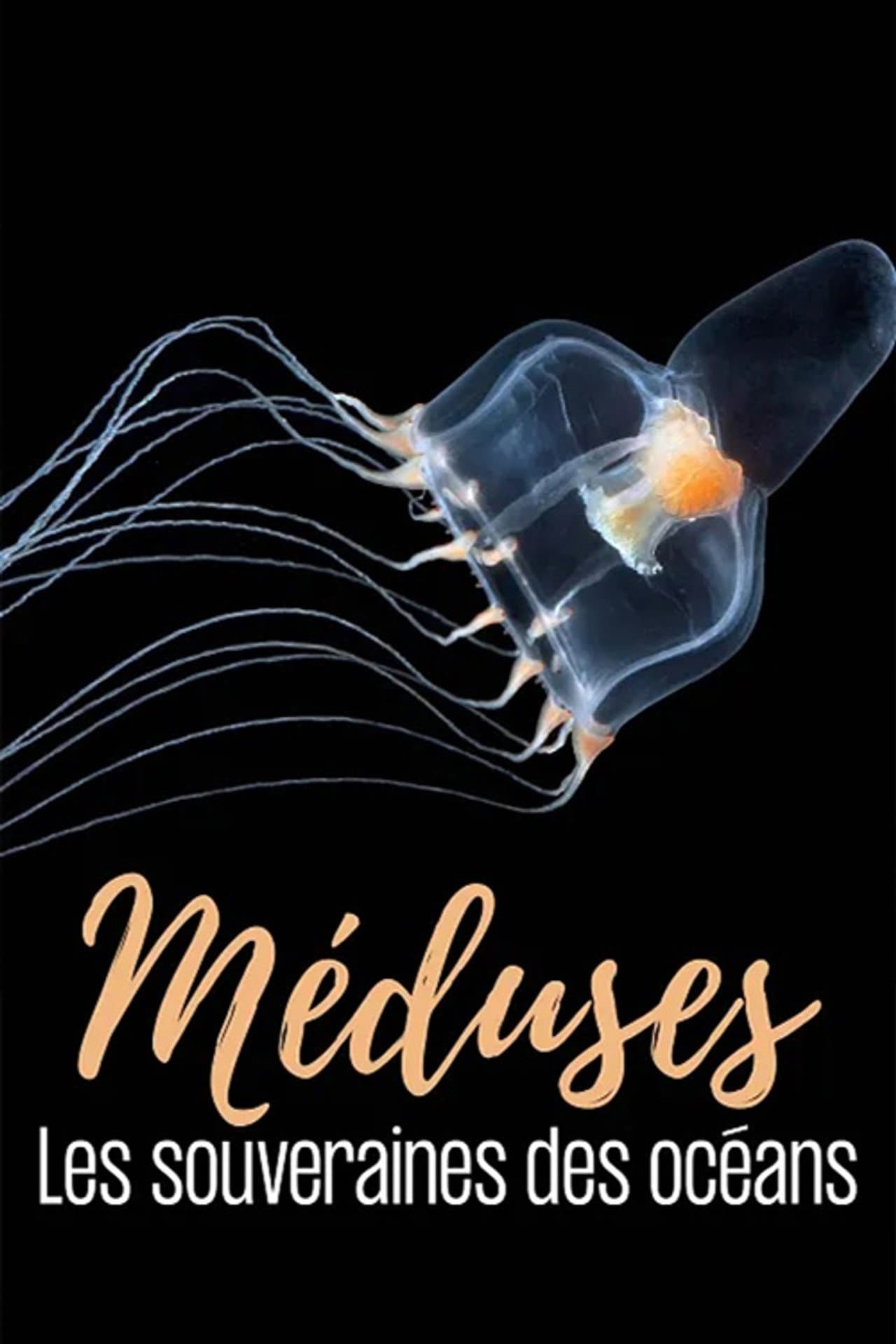 Méduses les souveraines des océans preview 1
