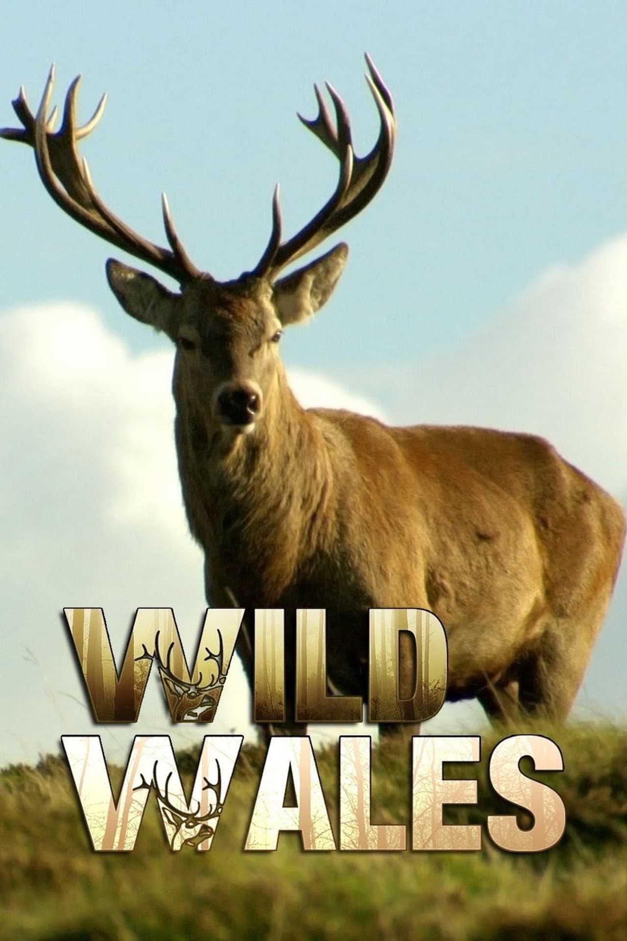 Wild Wales preview 1