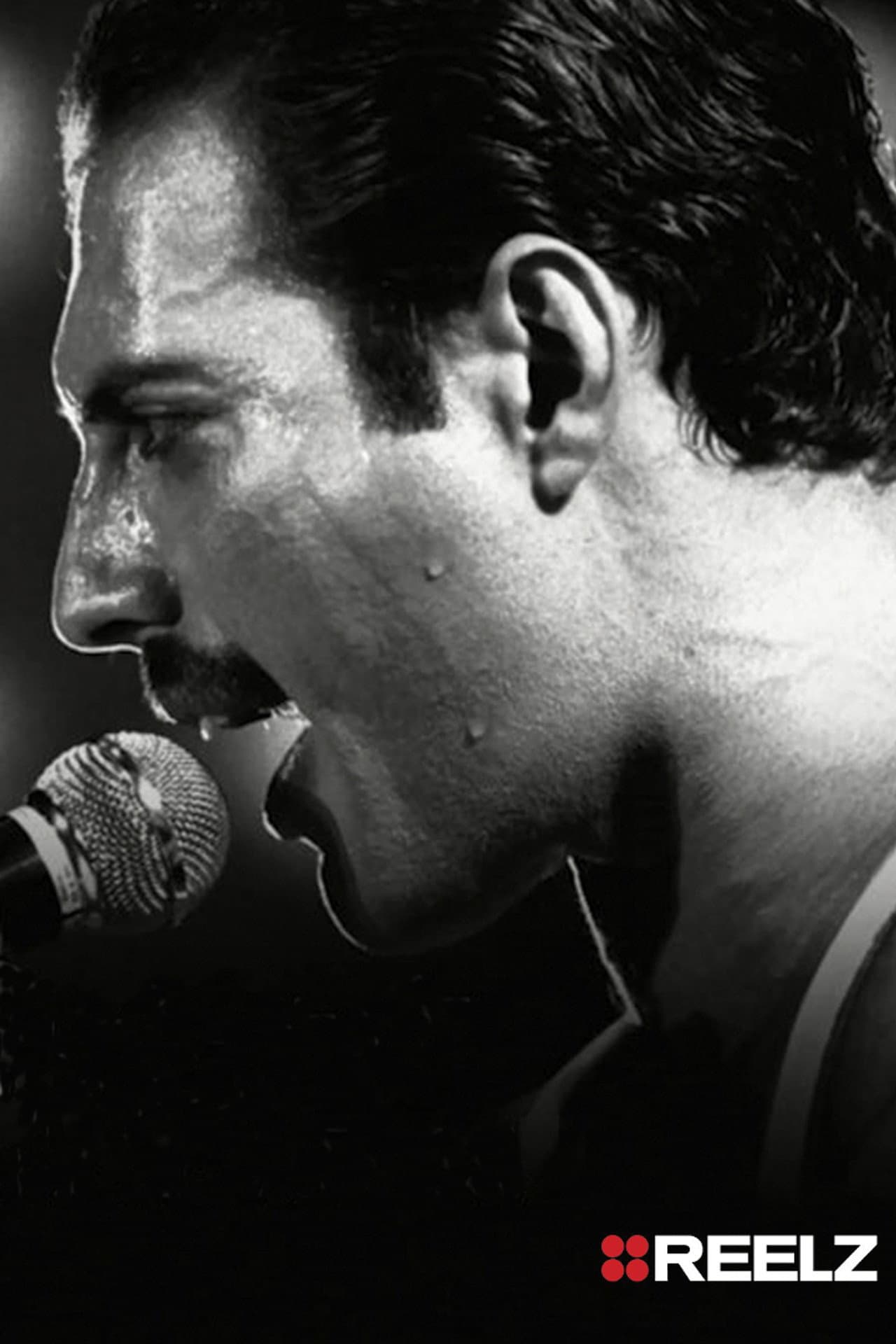 Freddie Mercury: The Great Pretender Revealed preview 2