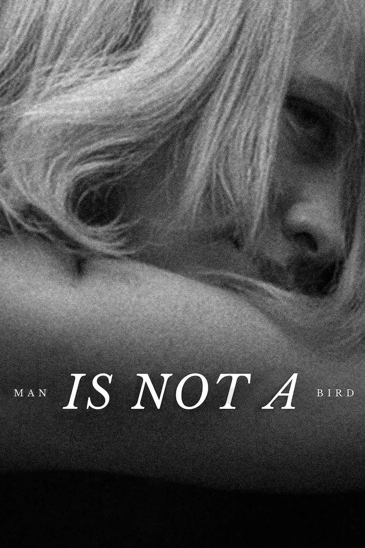 Man Is Not a Bird preview 2