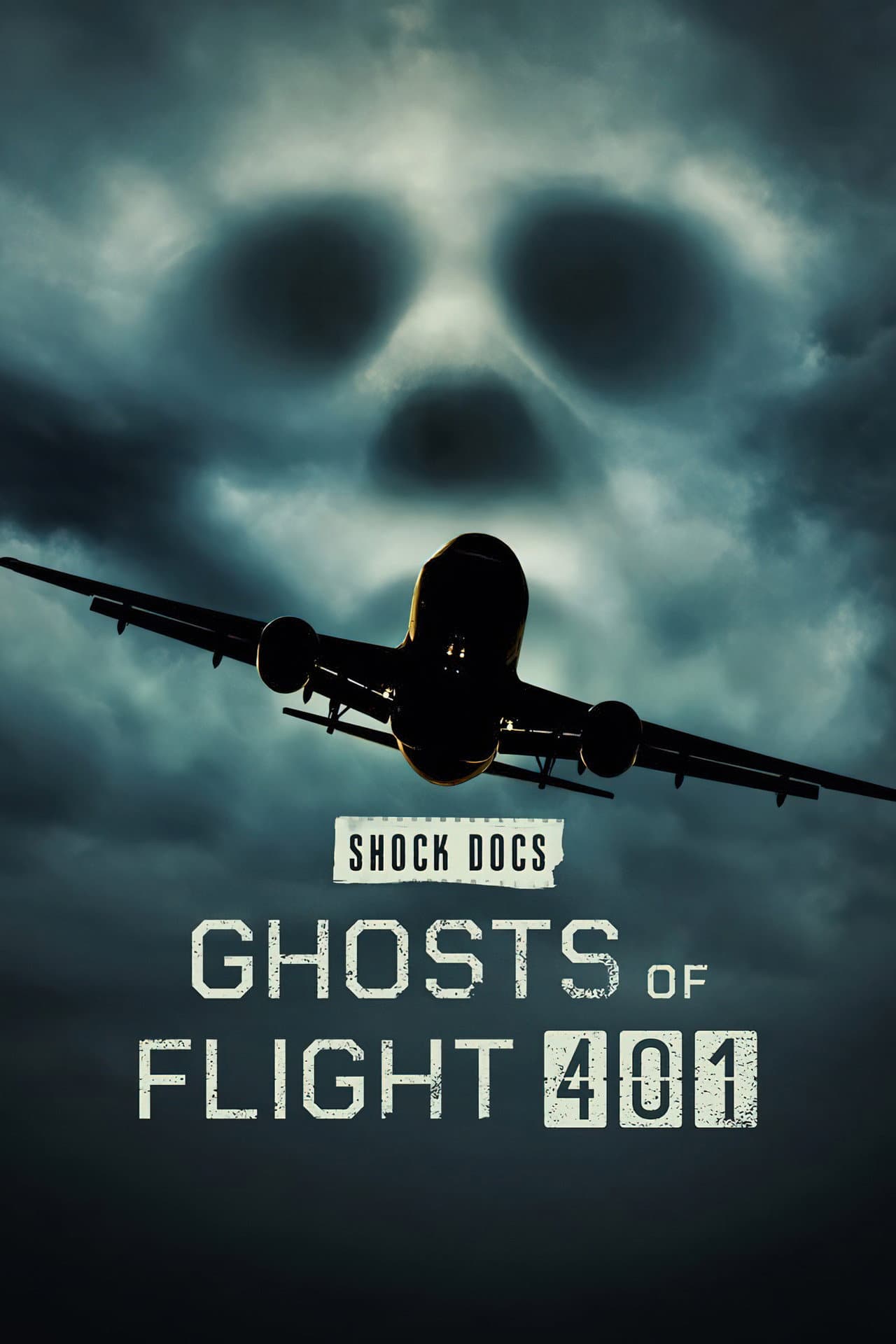 Ghosts of Flight 401 preview 2