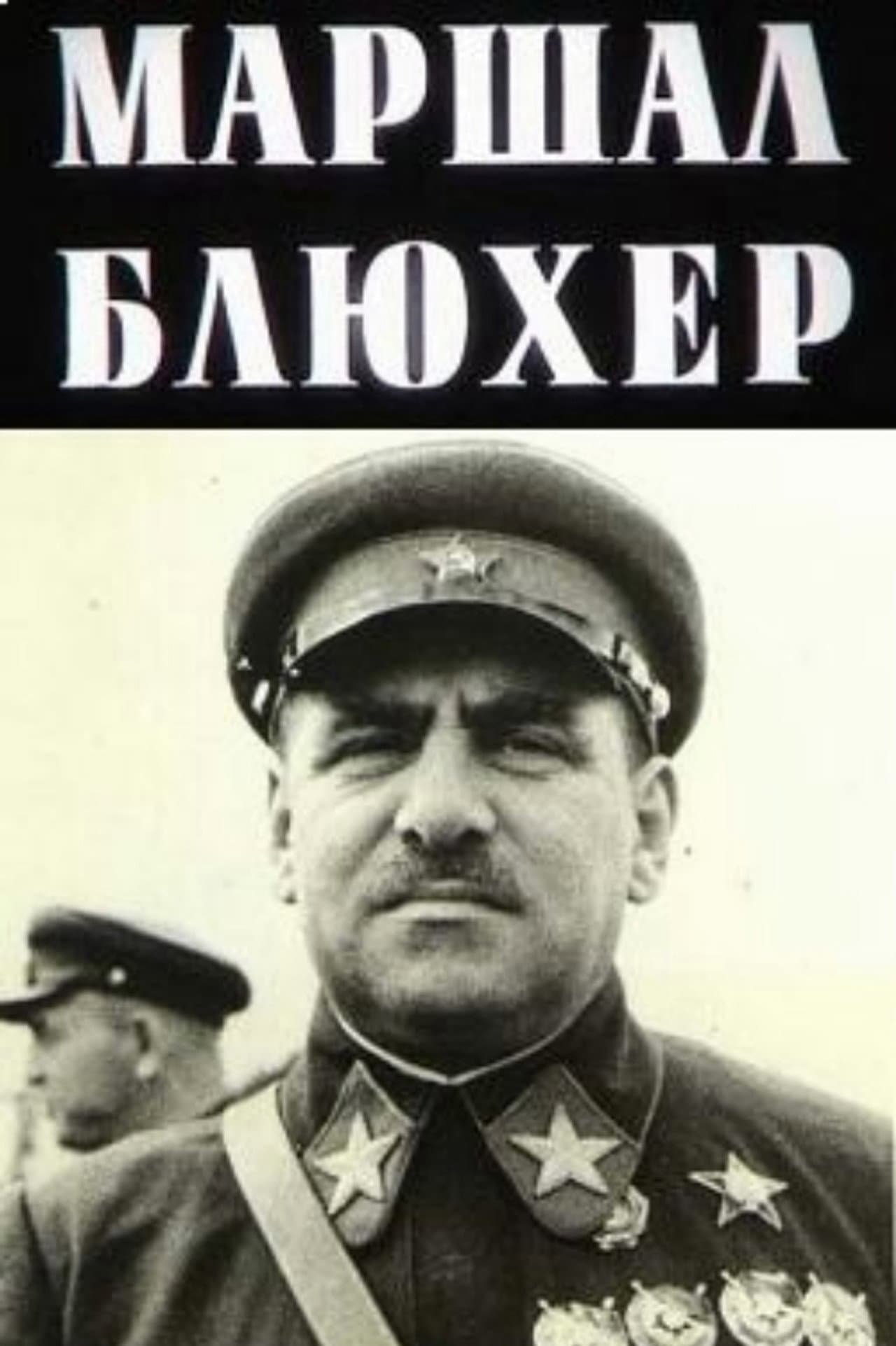 Marshal Blucher: A Portrait Against the Background of an Epoch preview 1
