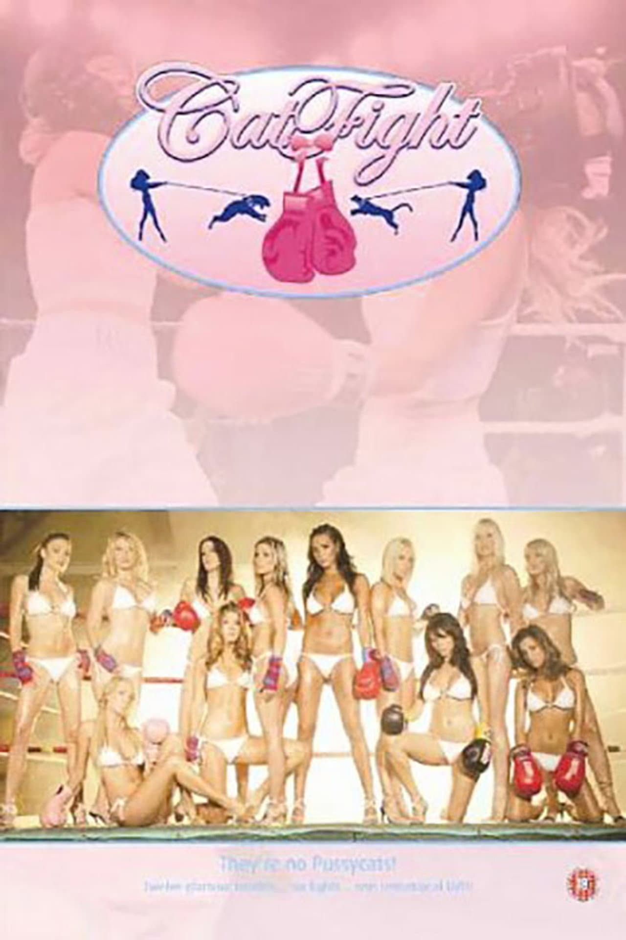 CatFight preview 1