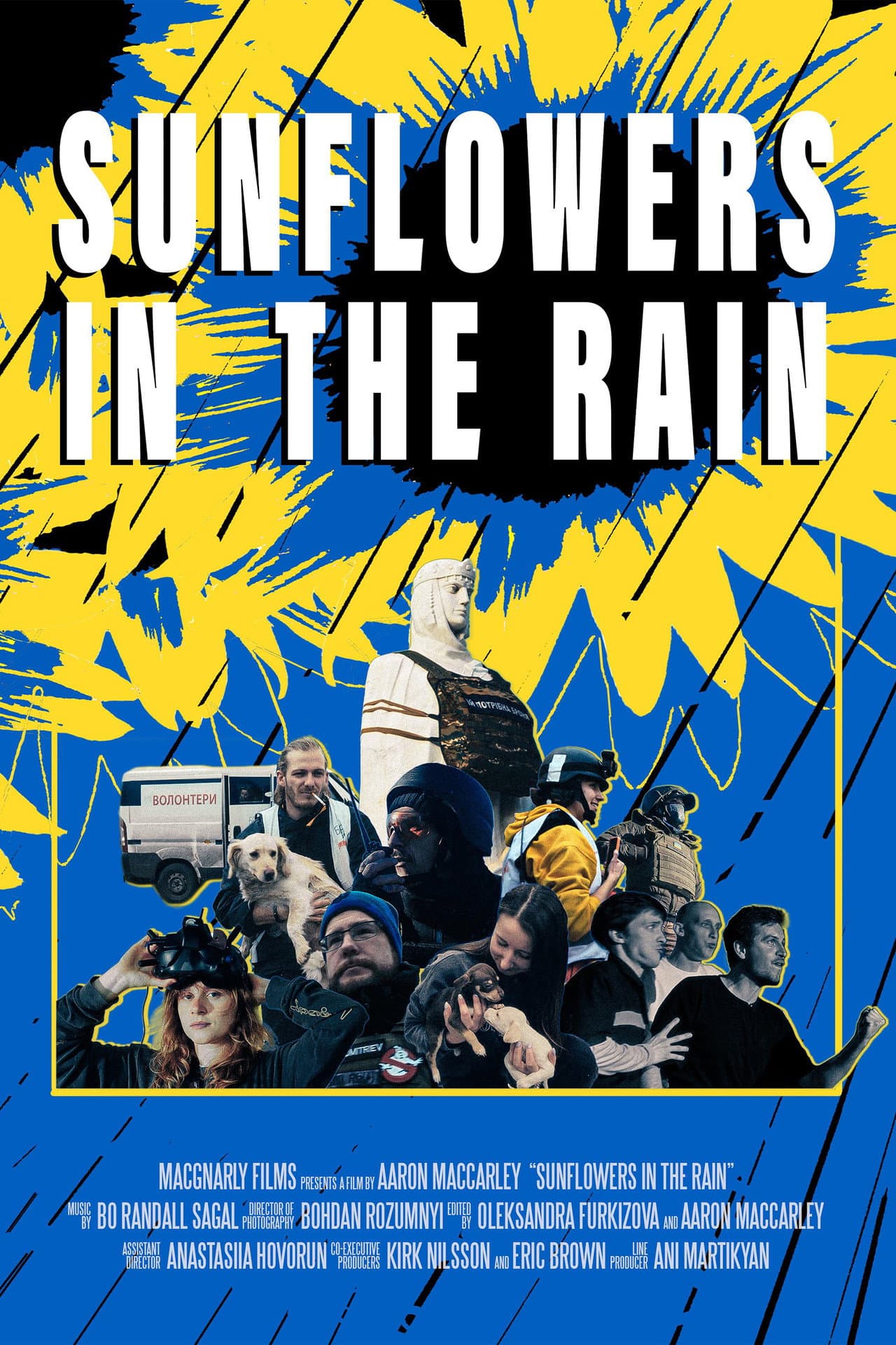 Sunflowers in the Rain preview 1