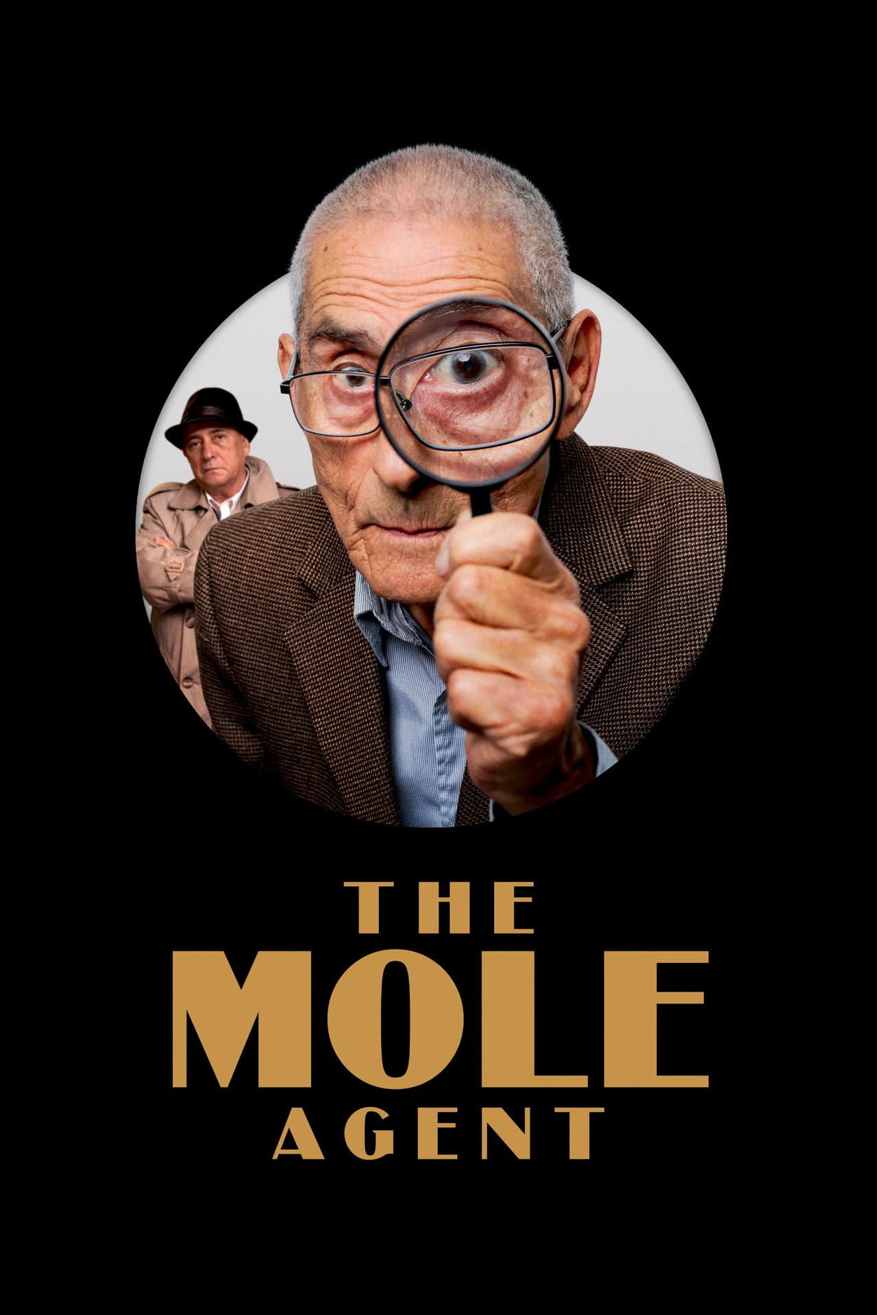 The Mole Agent preview 2