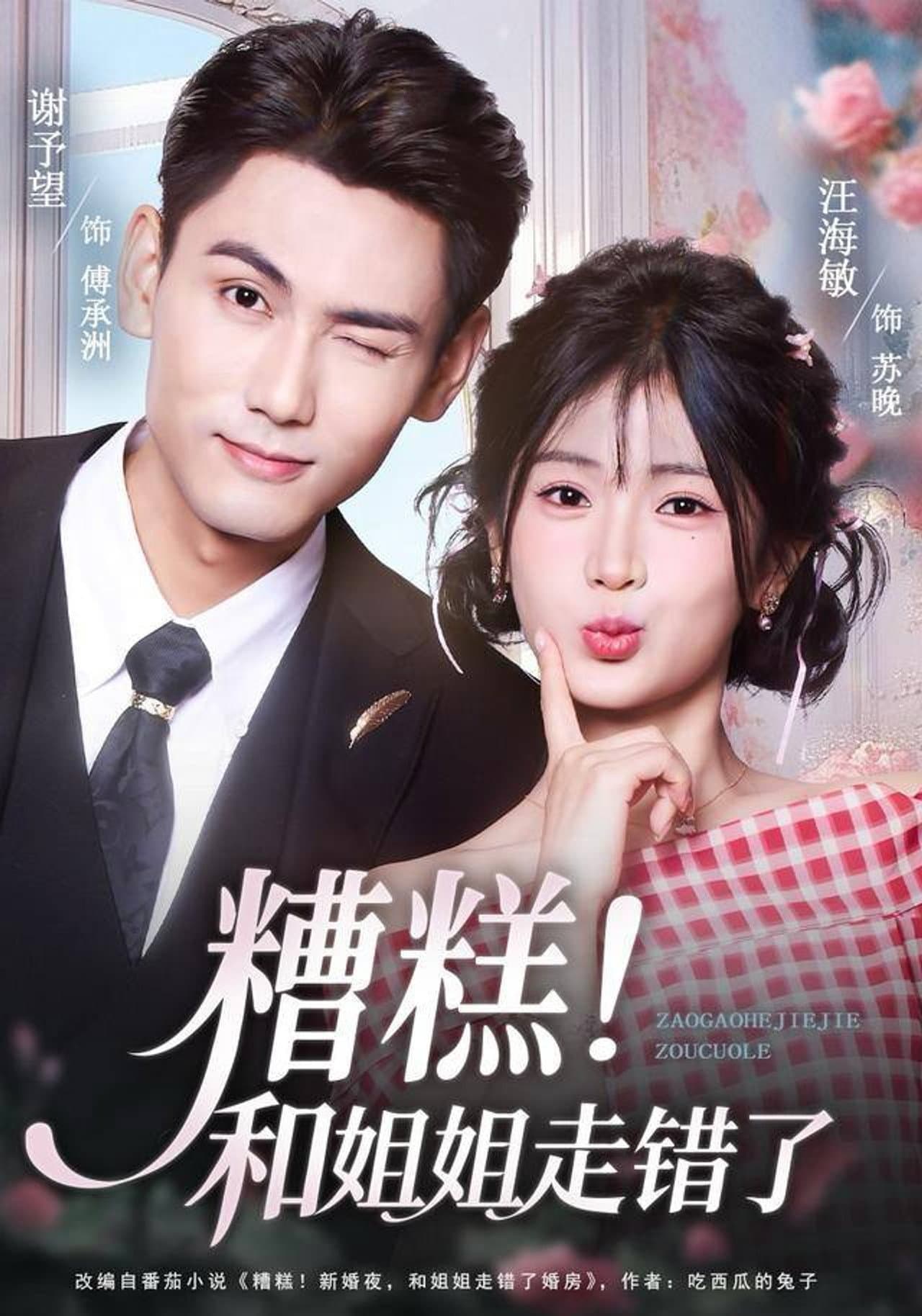 糟糕！和姐姐走错了 preview 1