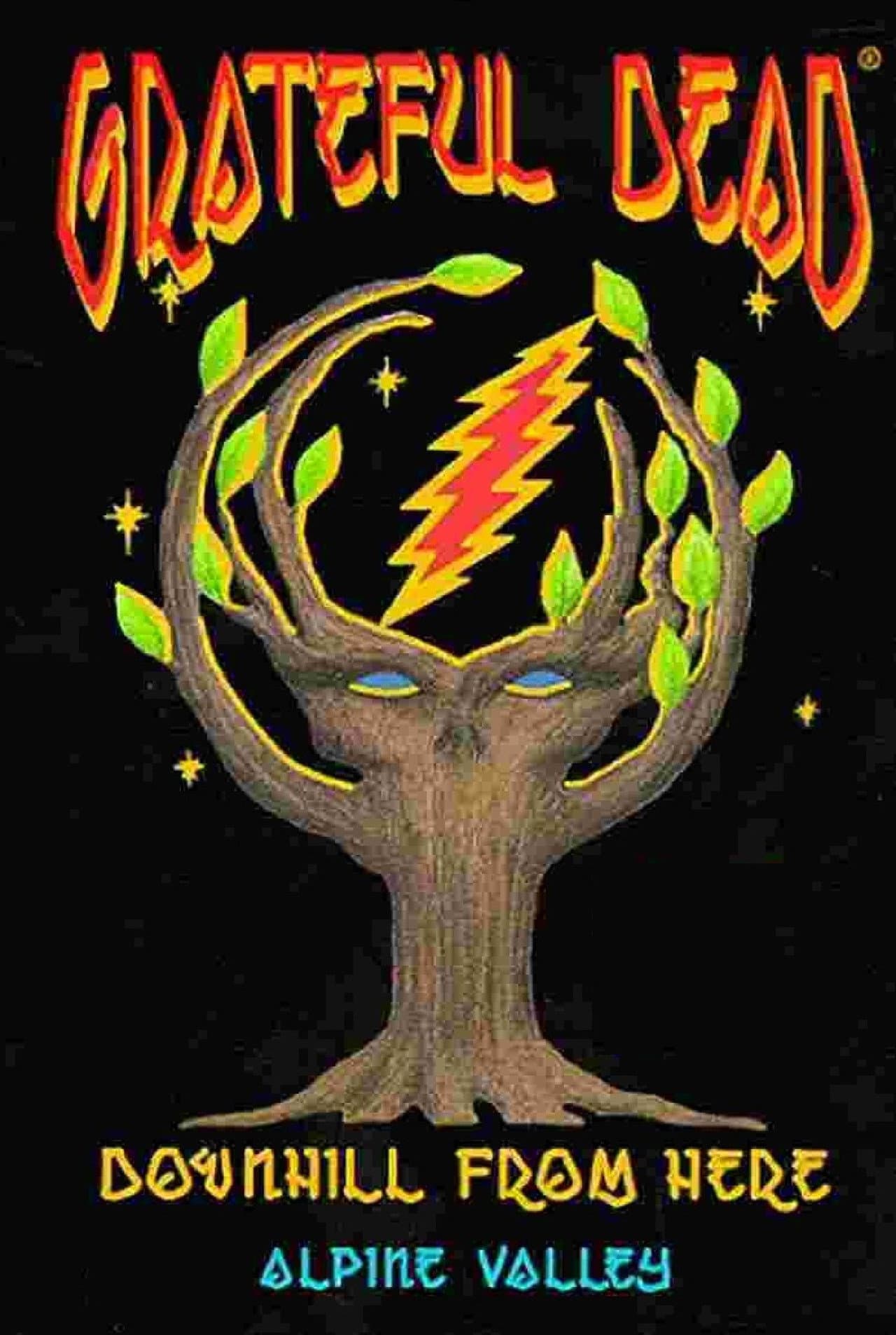 Grateful Dead: Downhill from Here preview 2