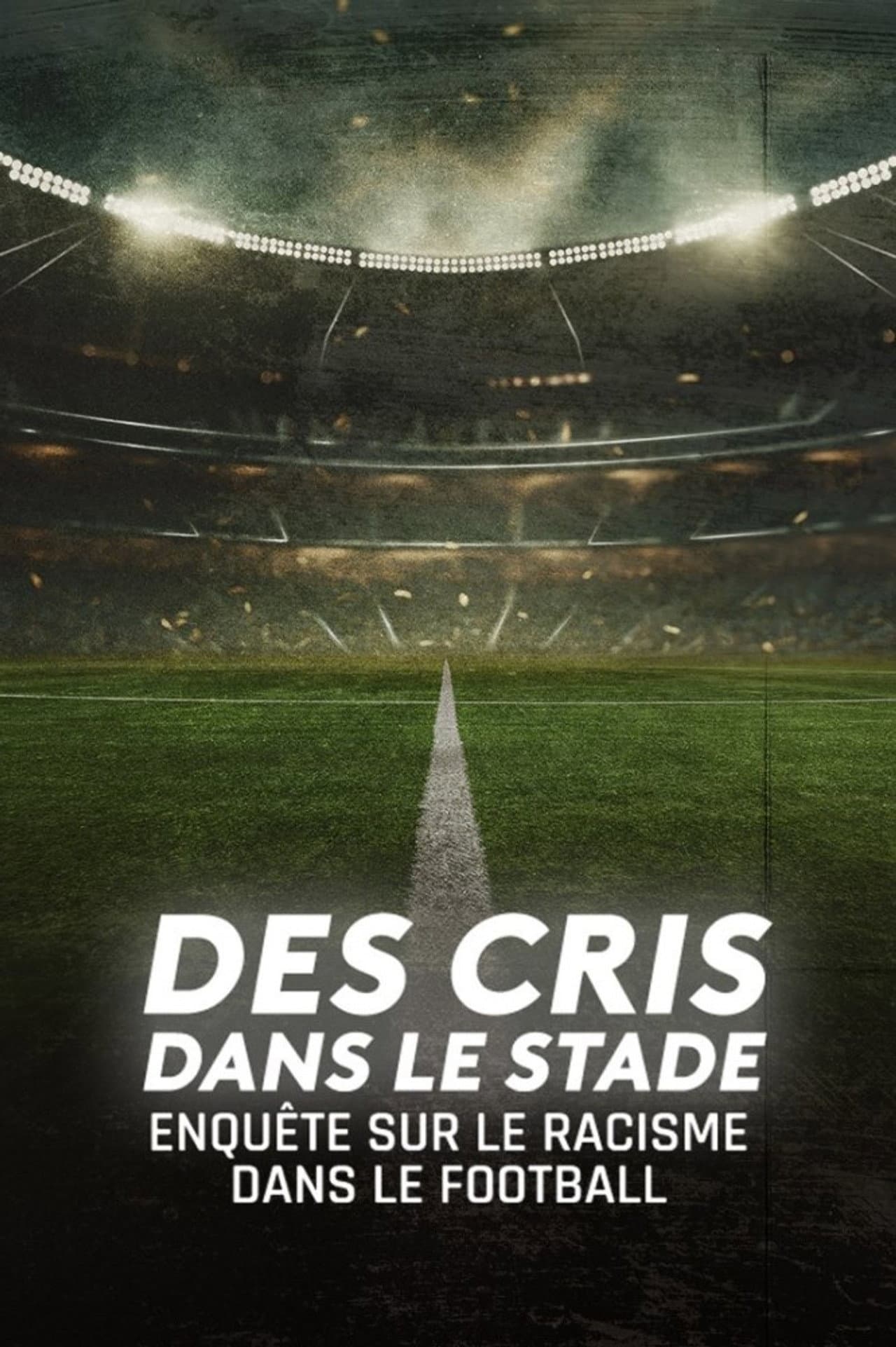 Des cris dans le stade, enquête sur le racisme dans le football preview 2