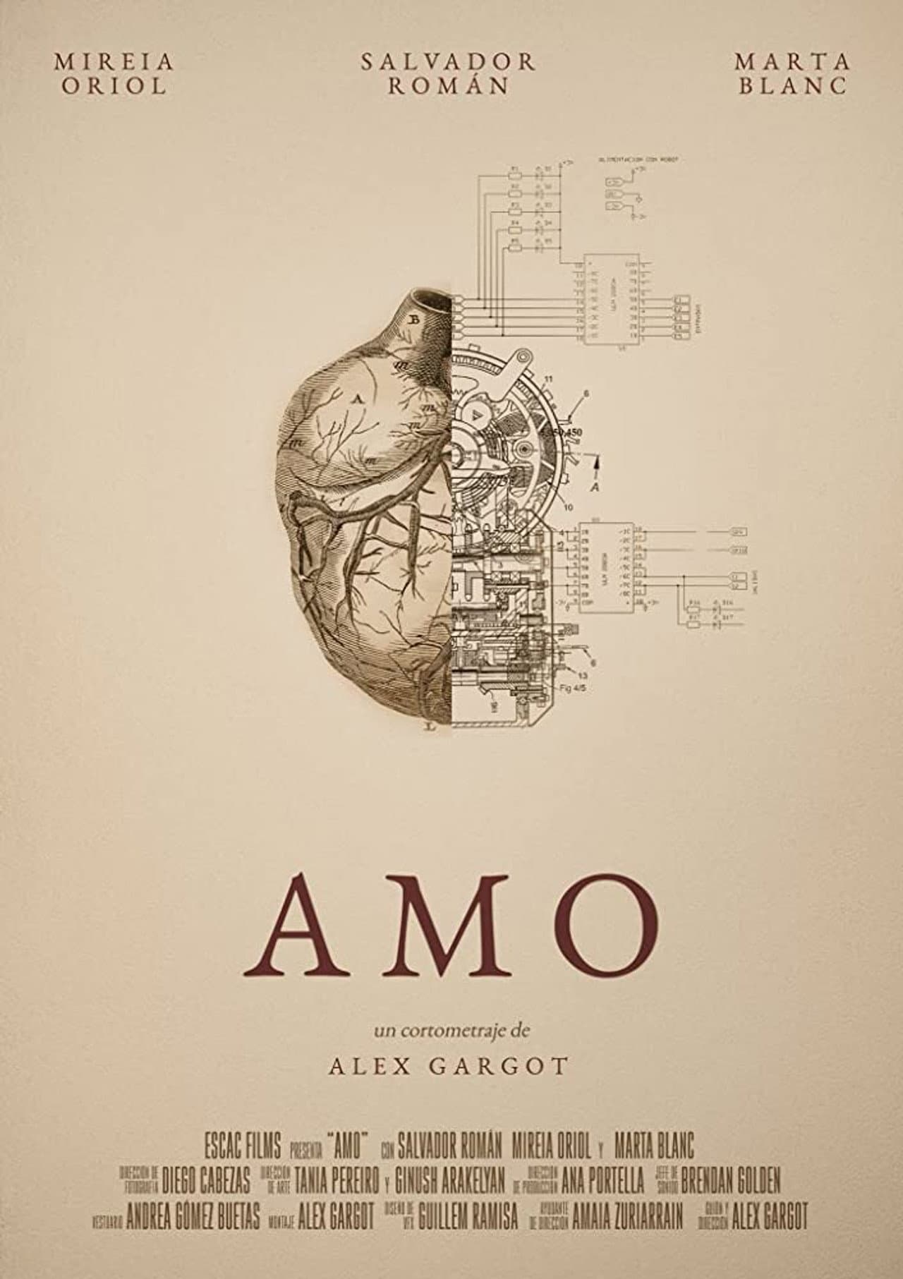 Amo preview 1
