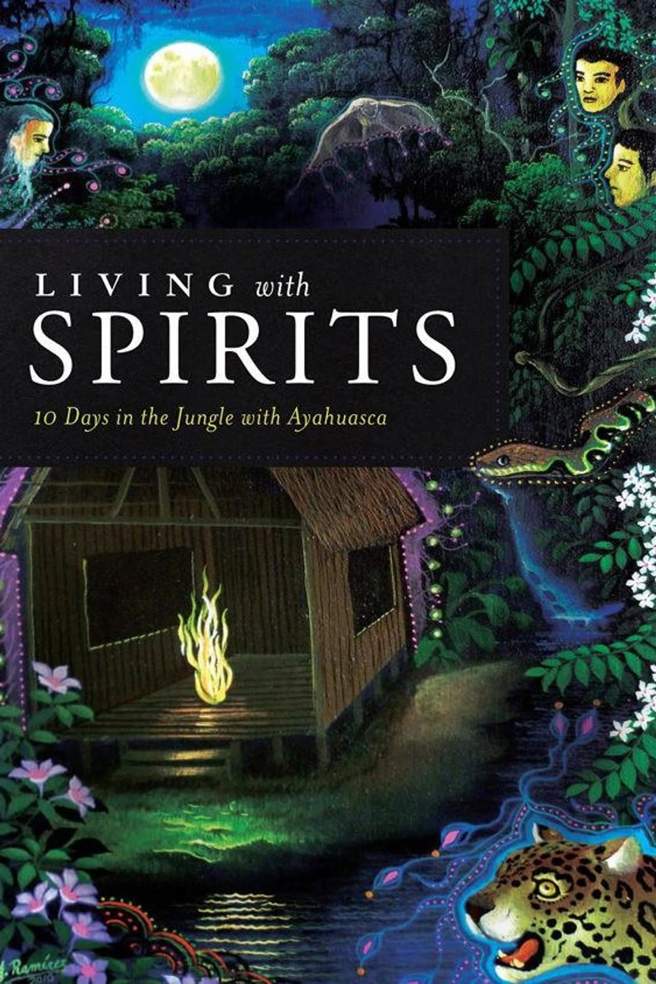 Living with Spirits: 10 Days in the Jungle with Ayahuasca preview 1