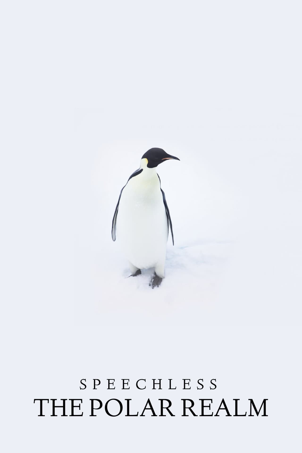 Speechless: The Polar Realm preview 2