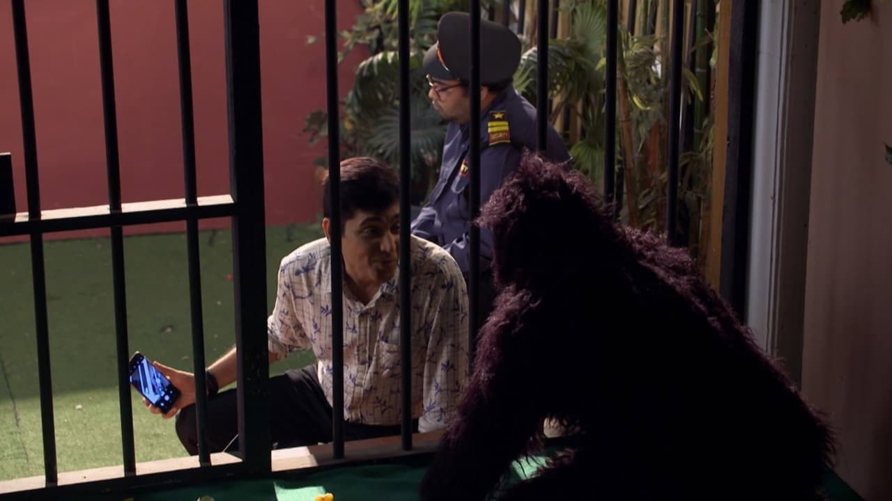 A Chimpanzee Attacks Vibhuti