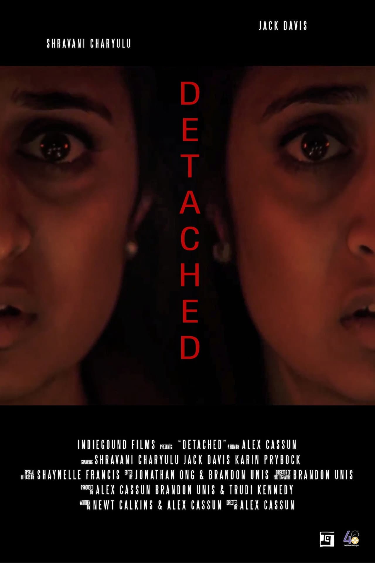 Detached preview 1