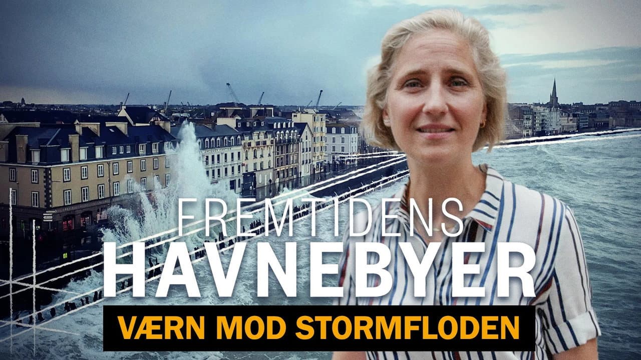 Fremtidens havnebyer - værn mod stormfloden