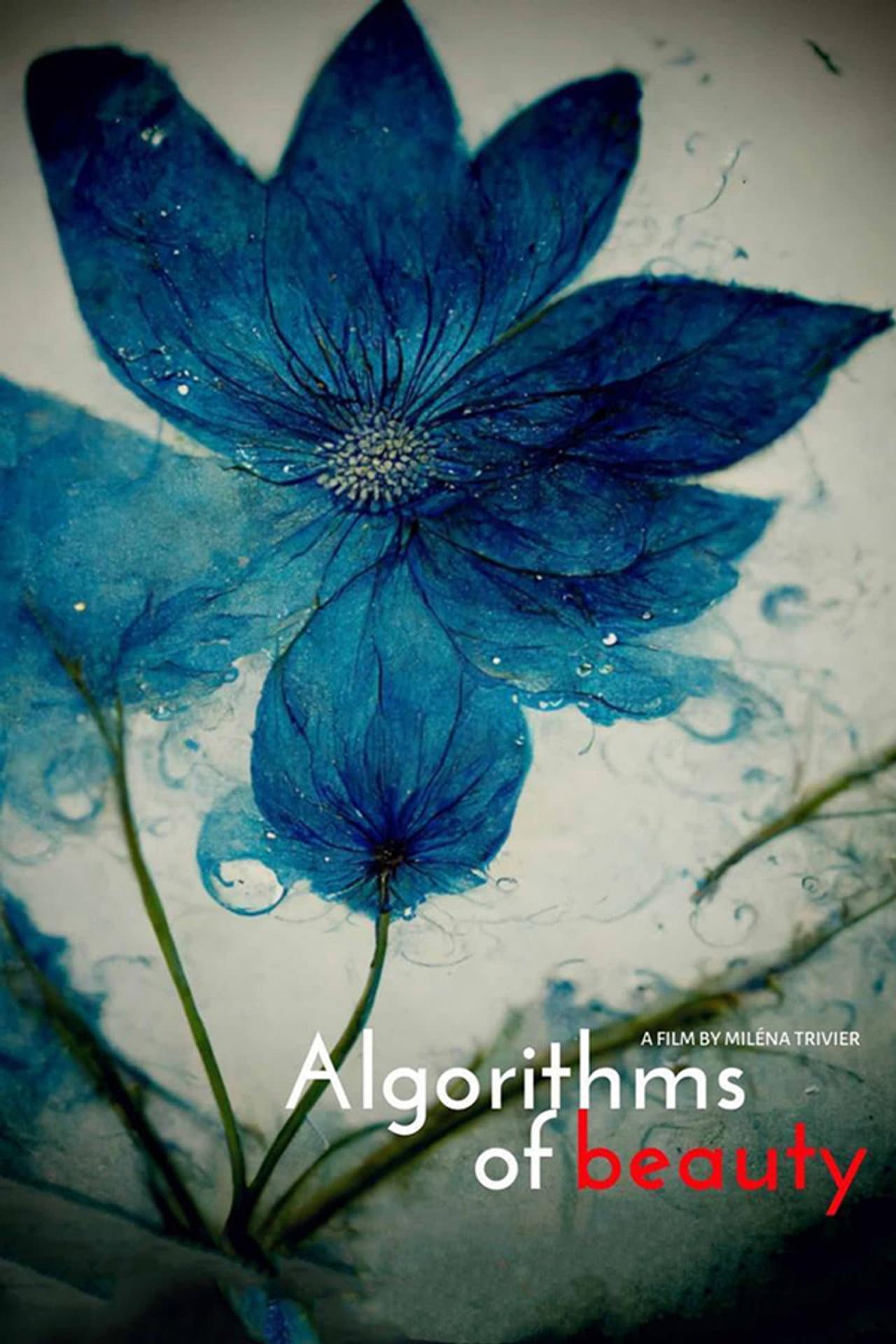 Algorithms of Beauty preview 2