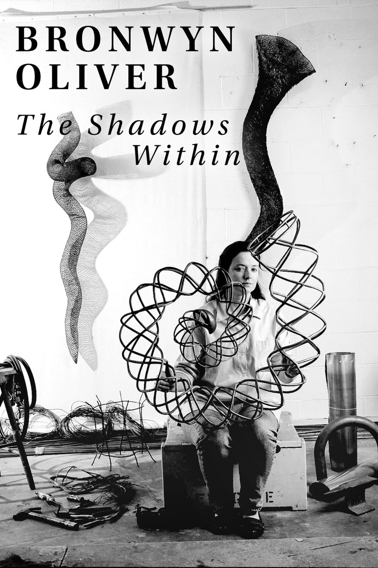 Bronwyn Oliver: The Shadows Within preview 2