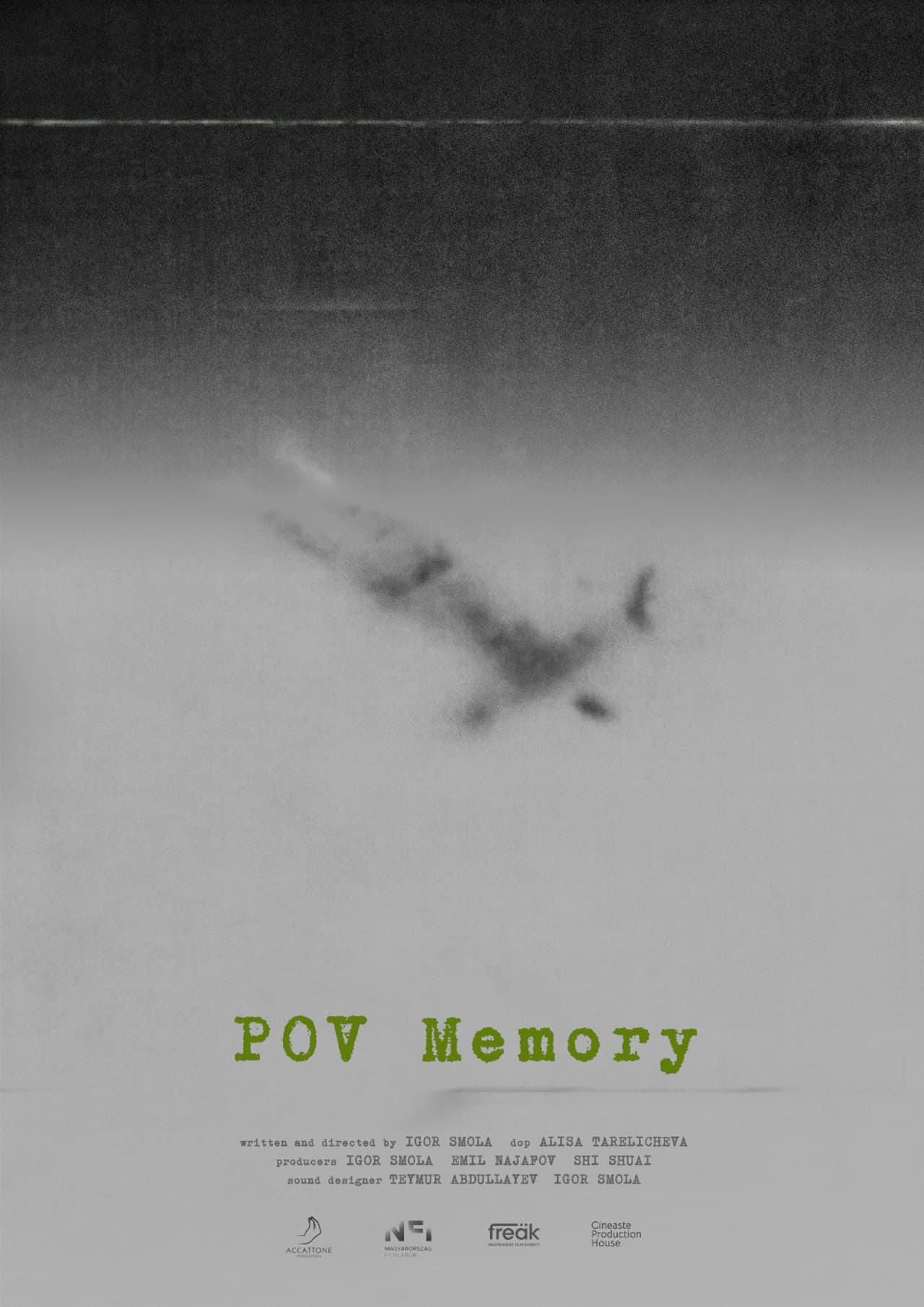 POV Memory preview 1