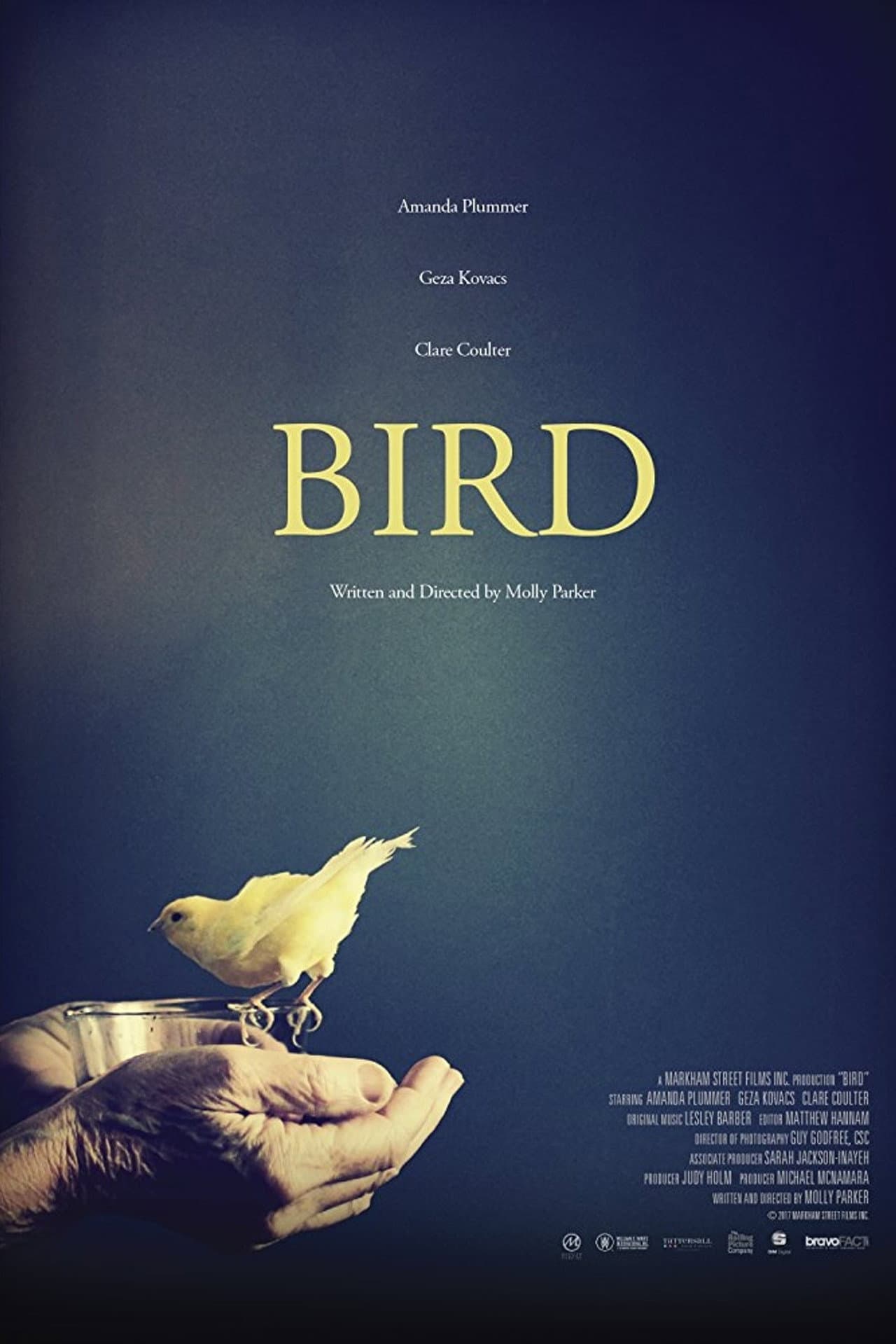 Bird preview 1