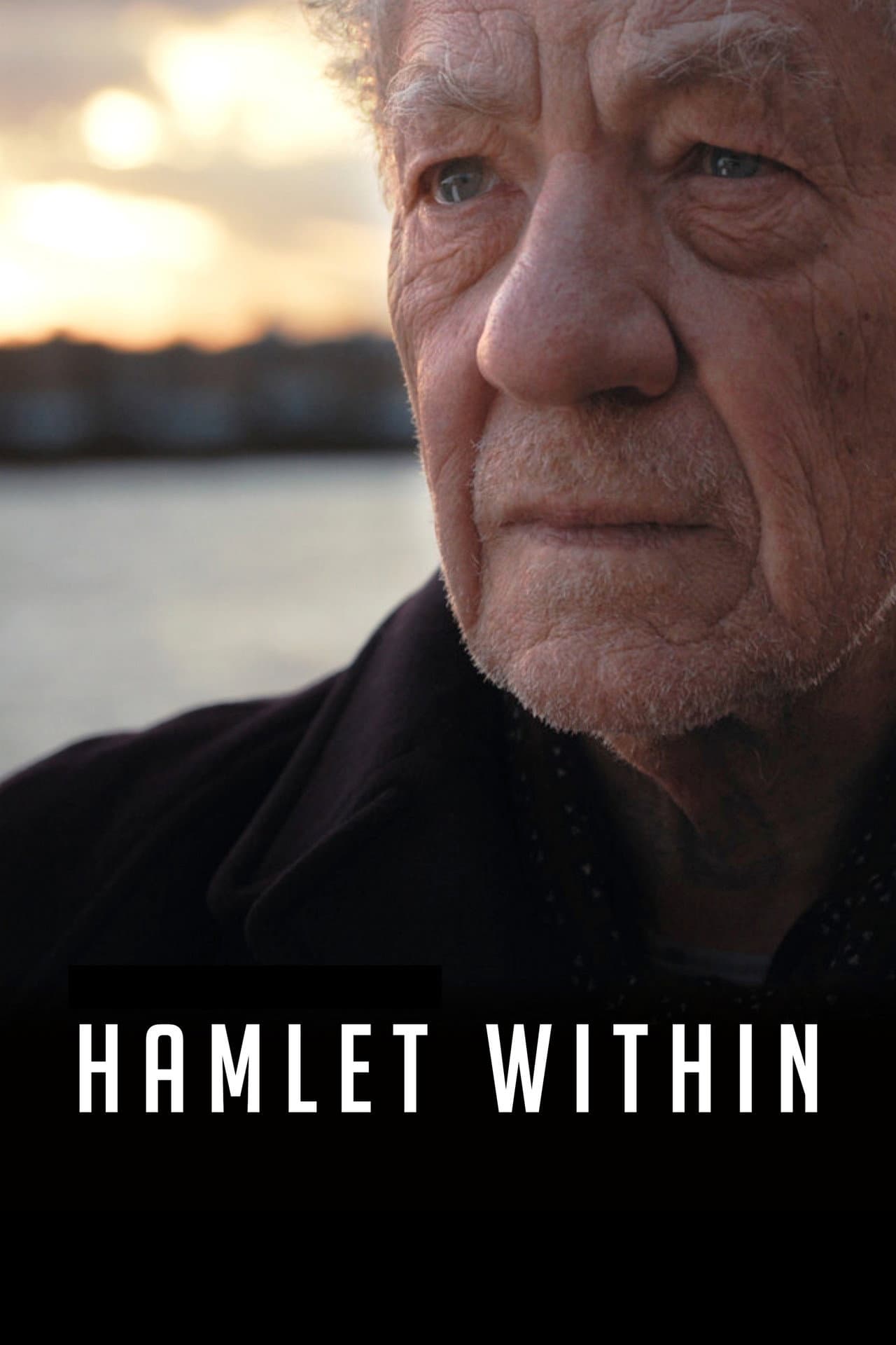 Hamlet Within preview 2