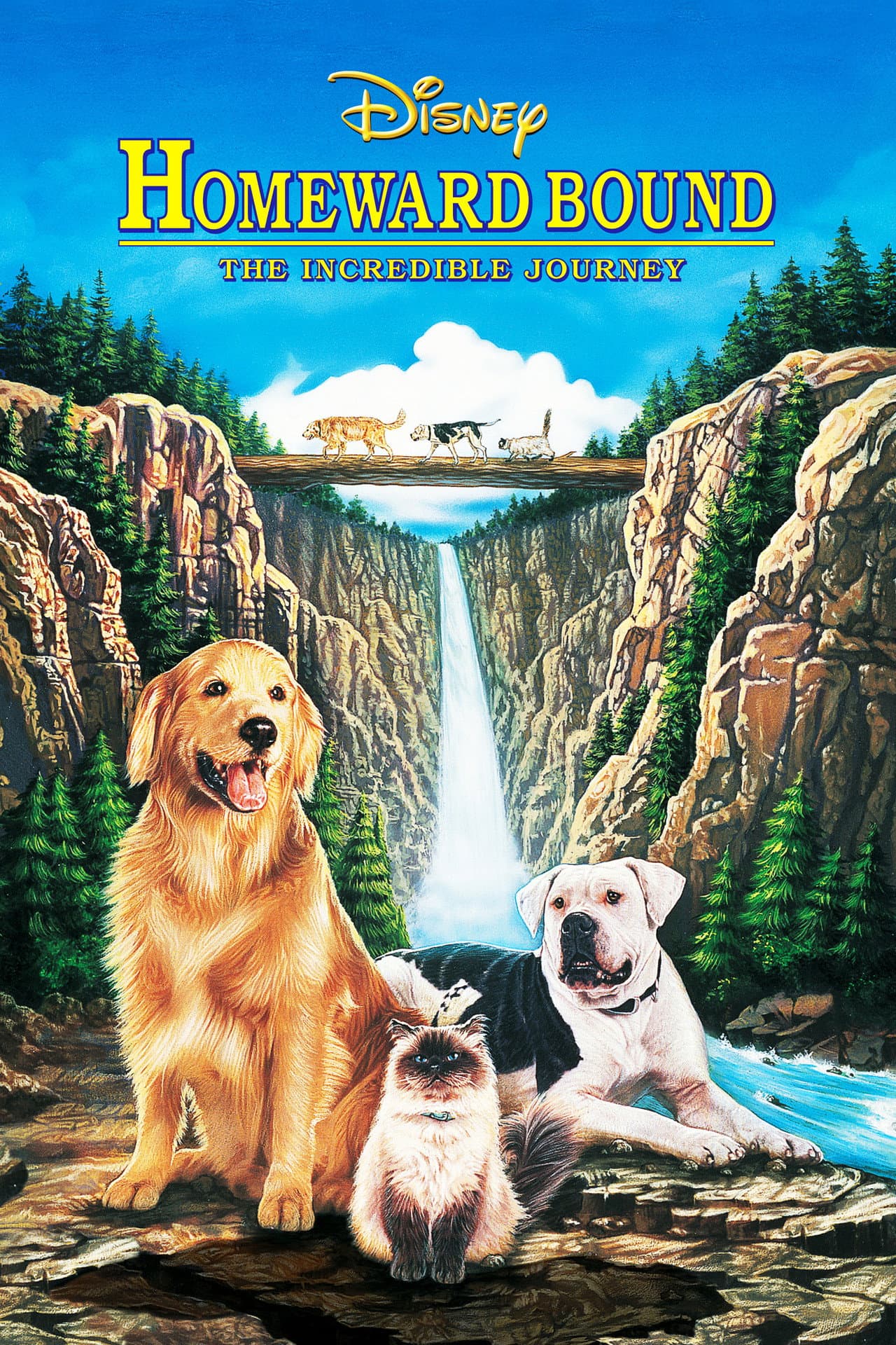 Homeward Bound: The Incredible Journey preview 2