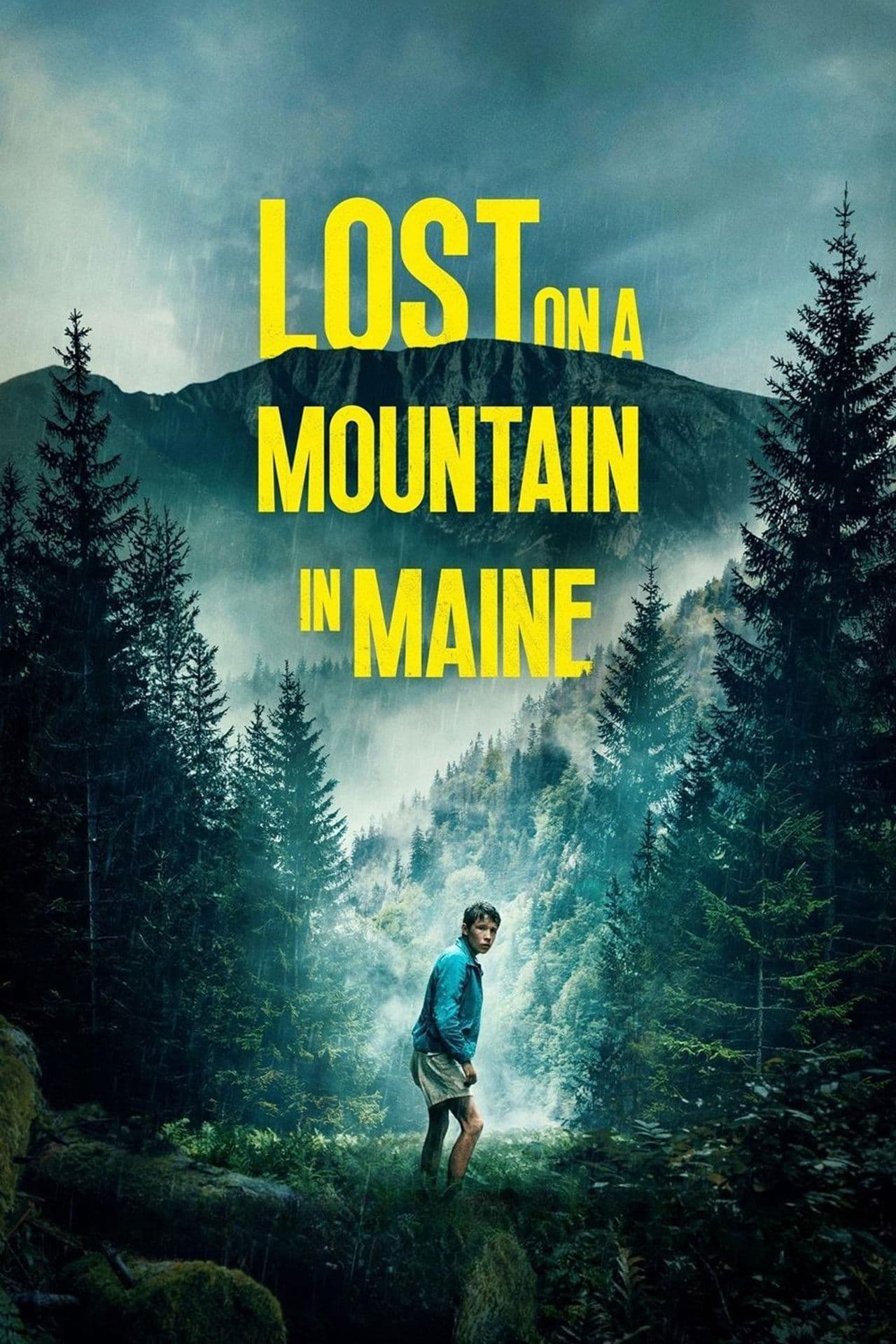 Lost on a Mountain in Maine preview 2