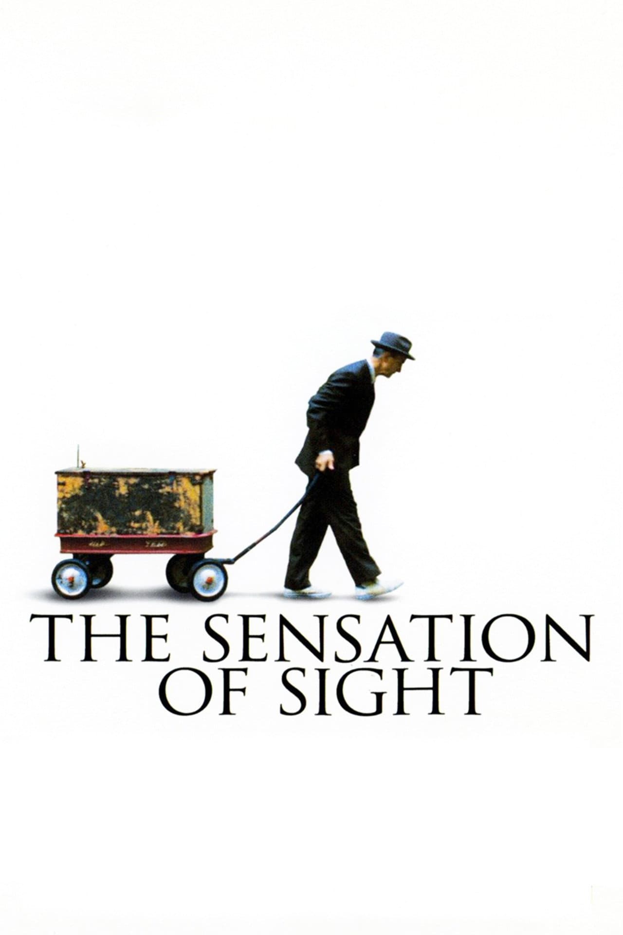 The Sensation of Sight preview 1