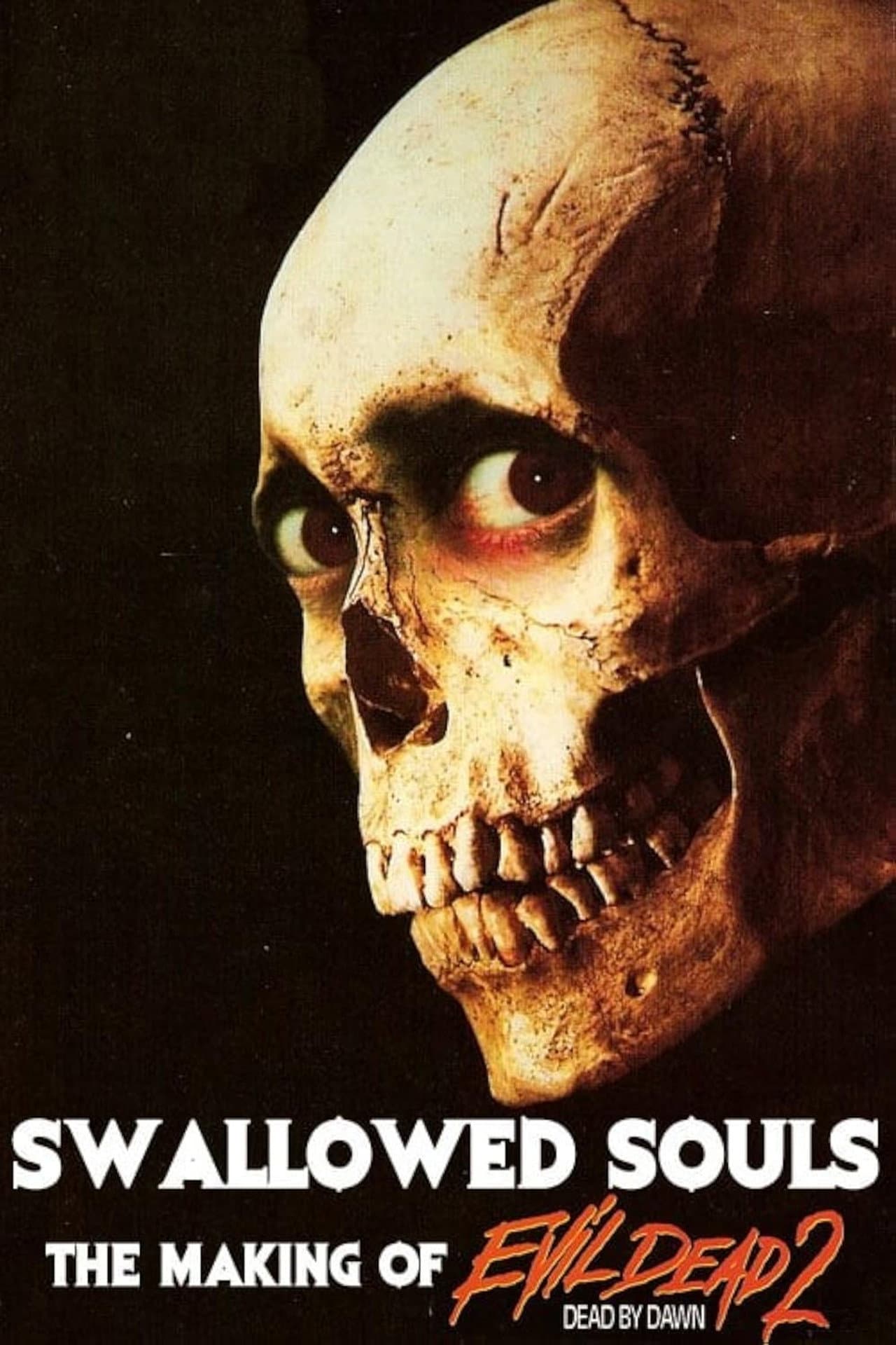 Swallowed Souls: The Making of 'Evil Dead 2' preview 2