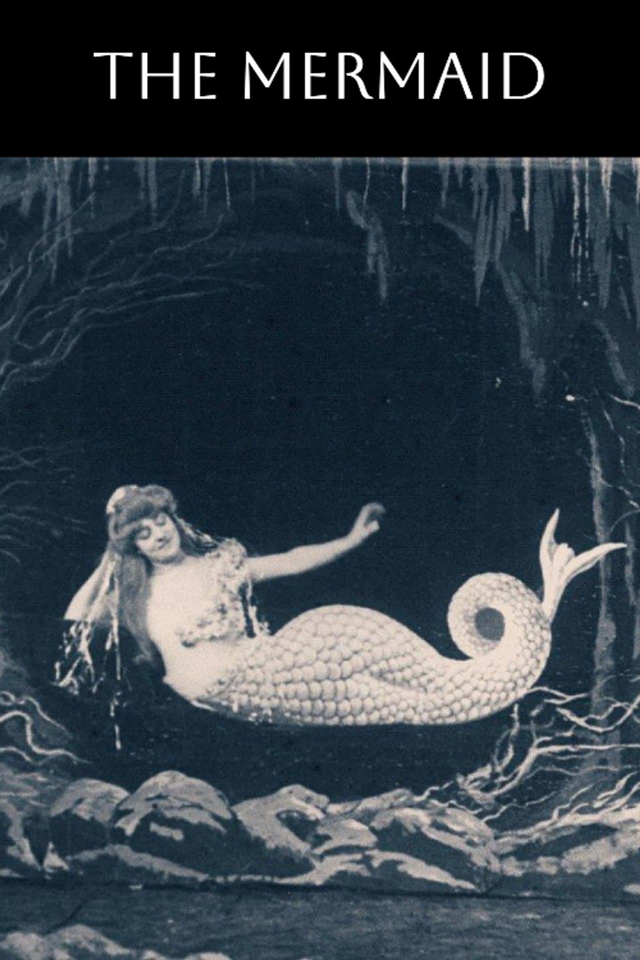 The Mermaid preview 2