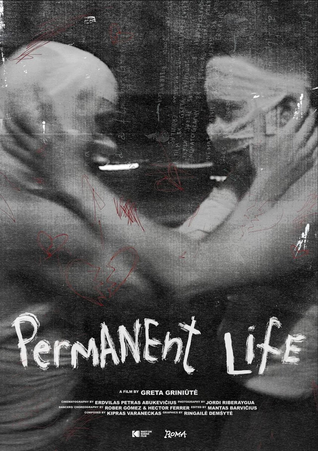 Permanent Life preview 2