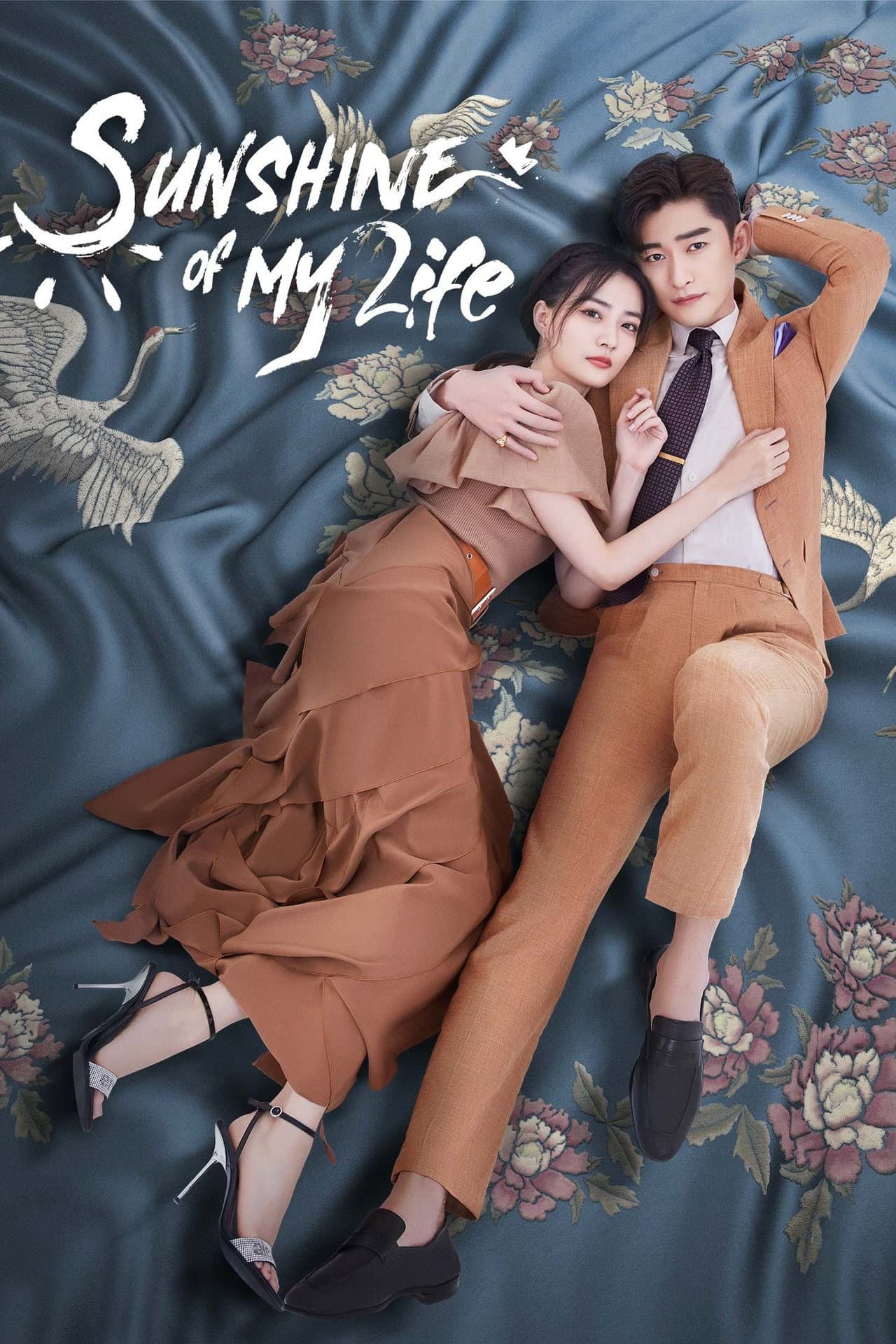Sunshine of My Life preview 2
