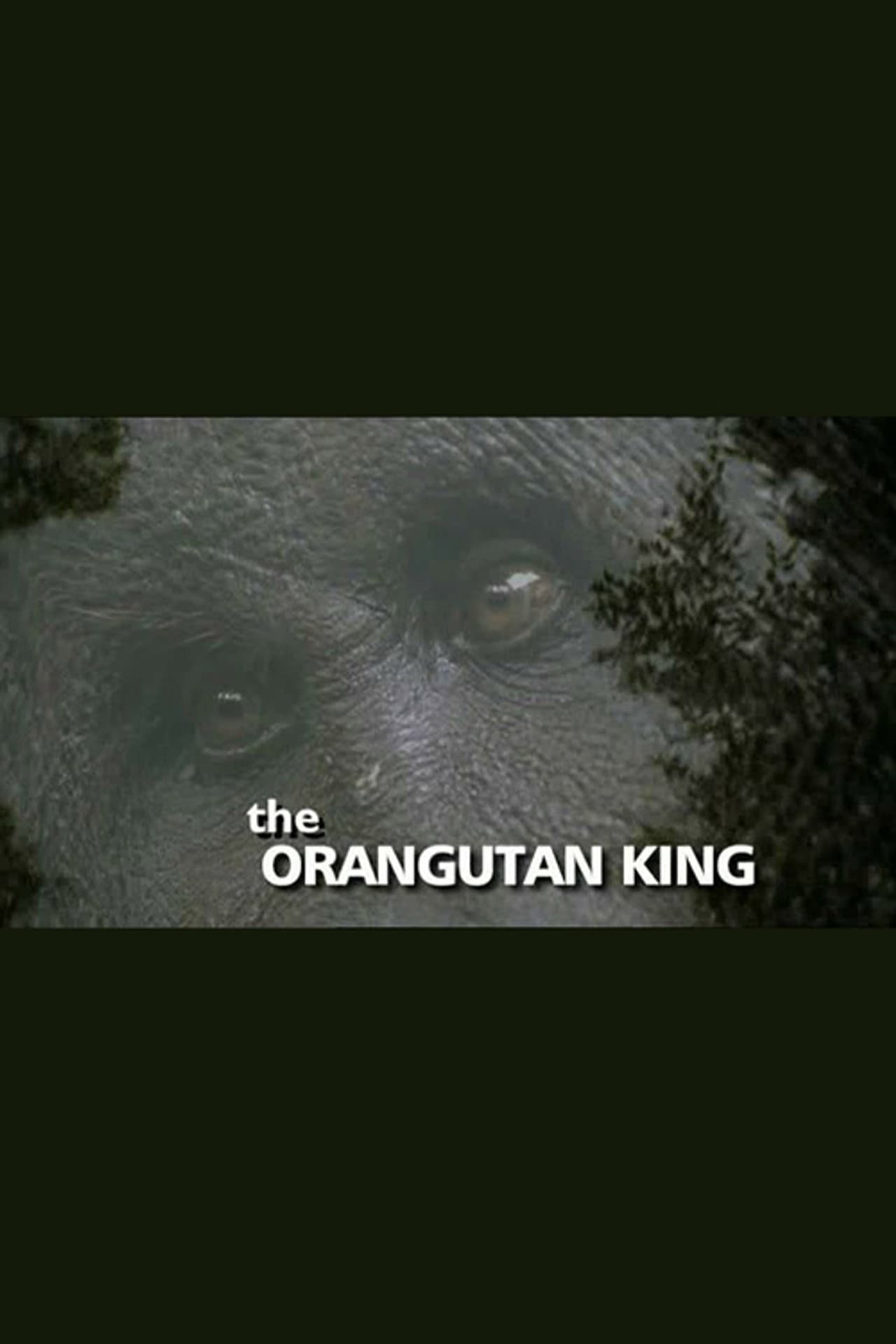 The Orangutan King preview 1