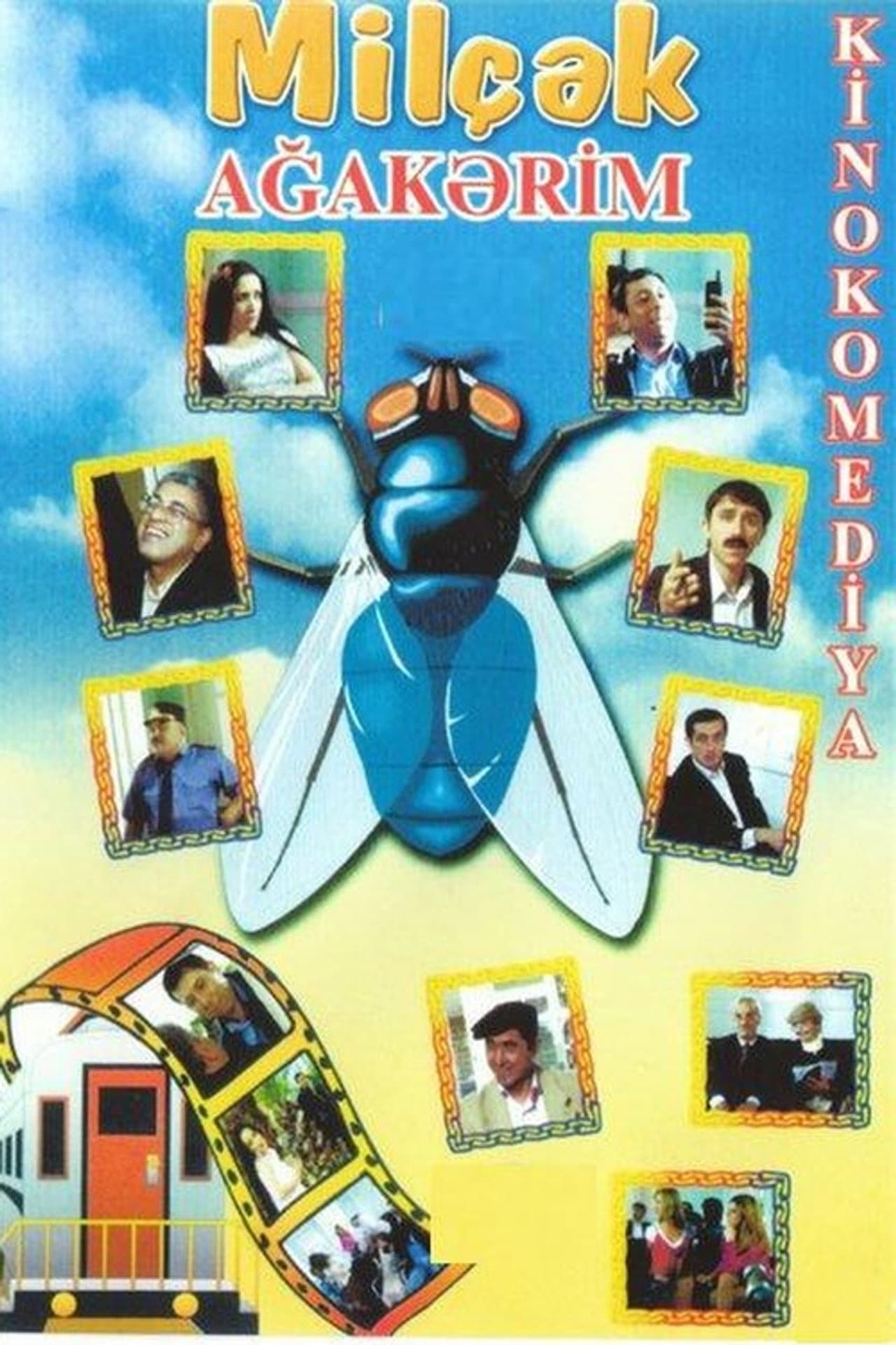 Fly preview 2